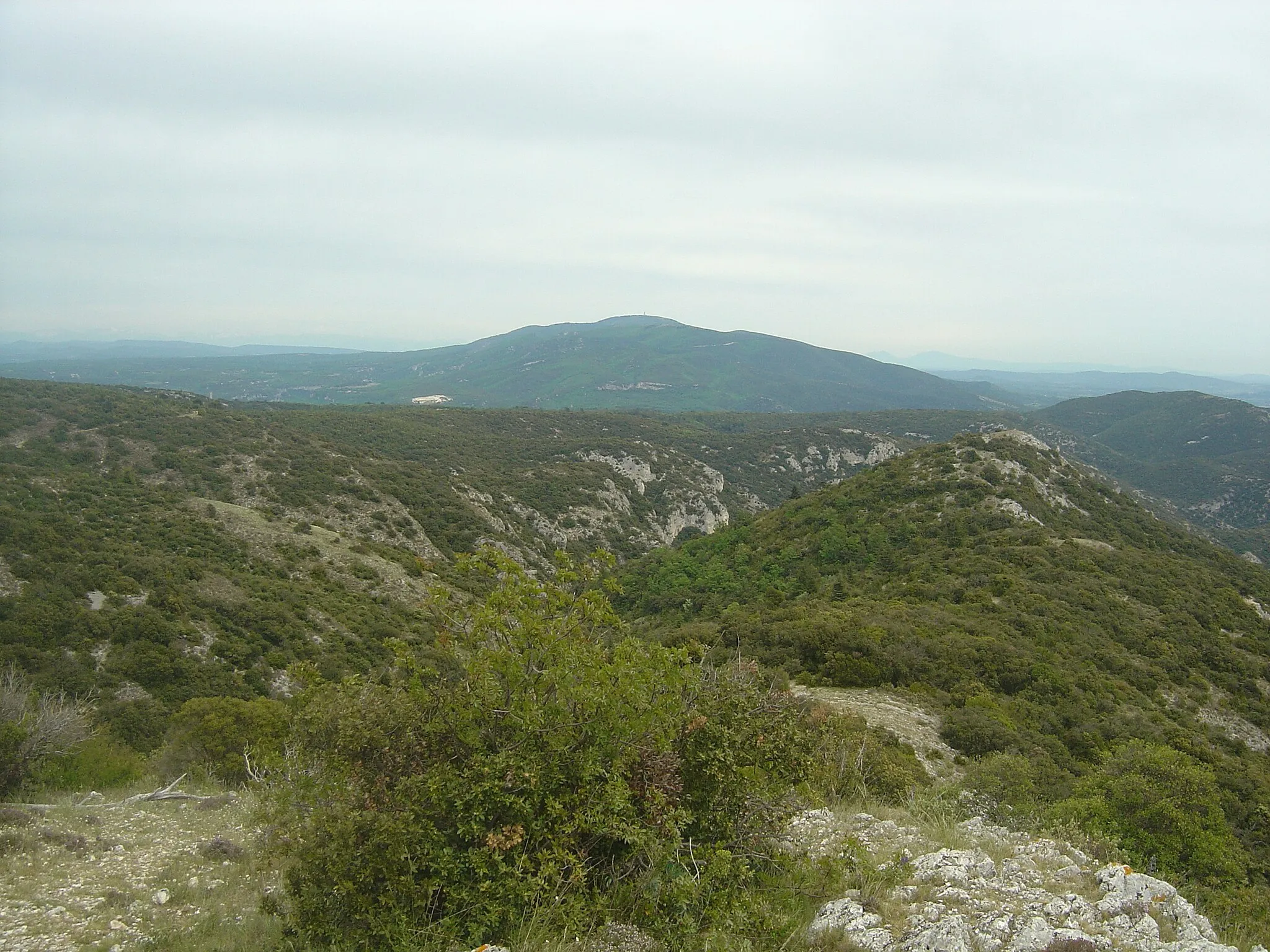 Photo showing: Le Mourre Nègre (1125m) vu à proximité du lieu-dit "Le Portalas" à 1,3 km de la forêt des cèdres