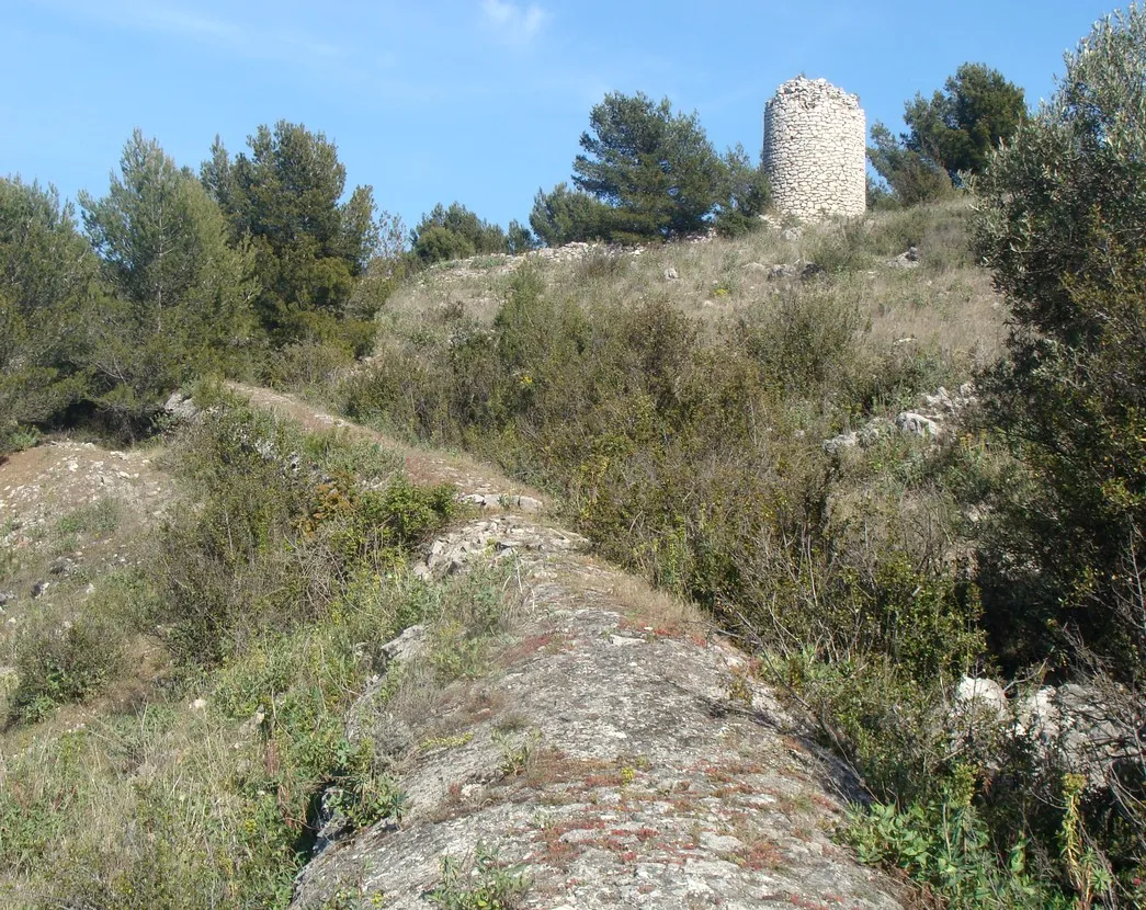 Photo showing: Une cheminée rampante en pierre, en pente faible. Sur la droite, une cheminée terminale.