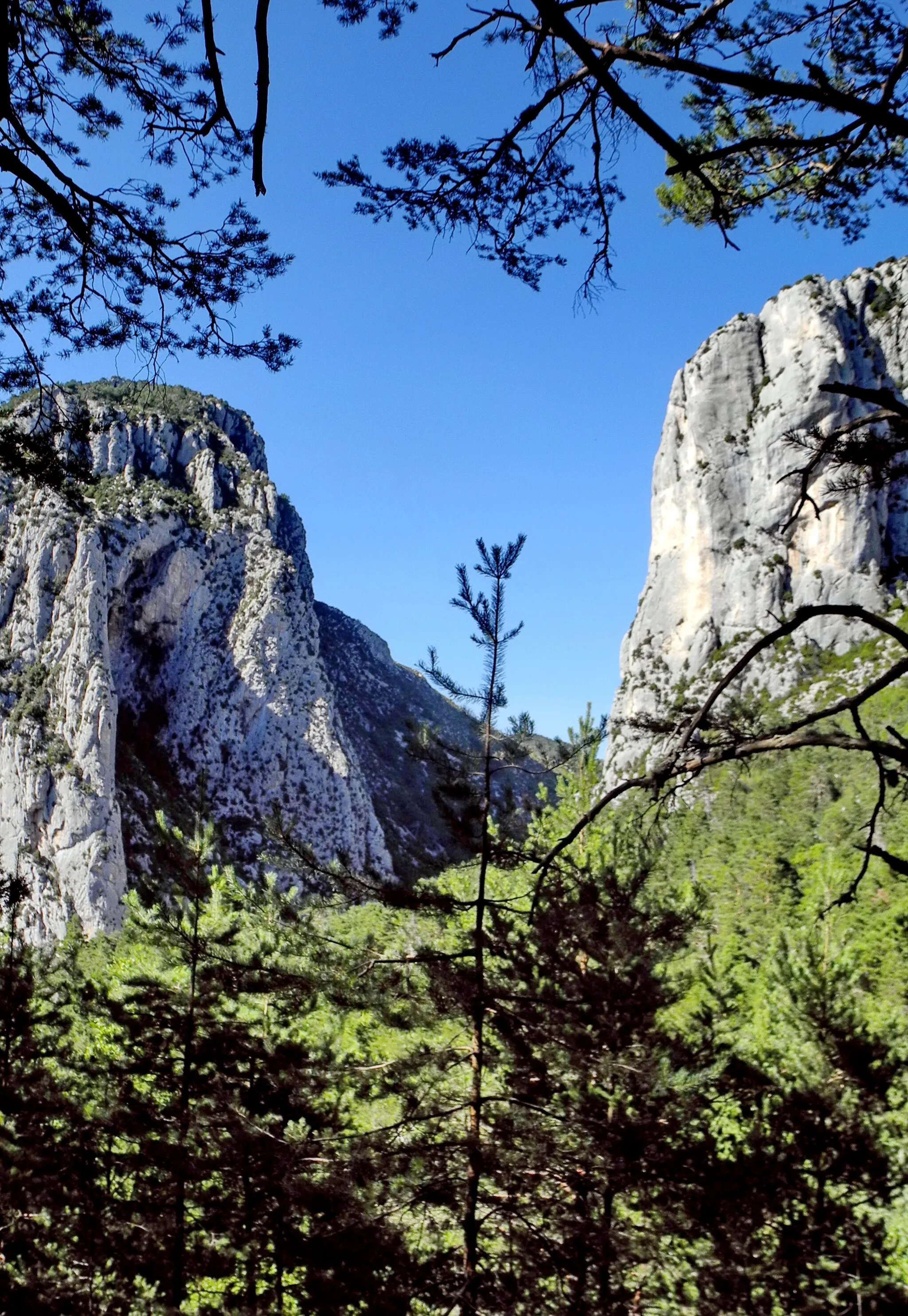 Photo showing: gogres de l'Atuby à Bargème