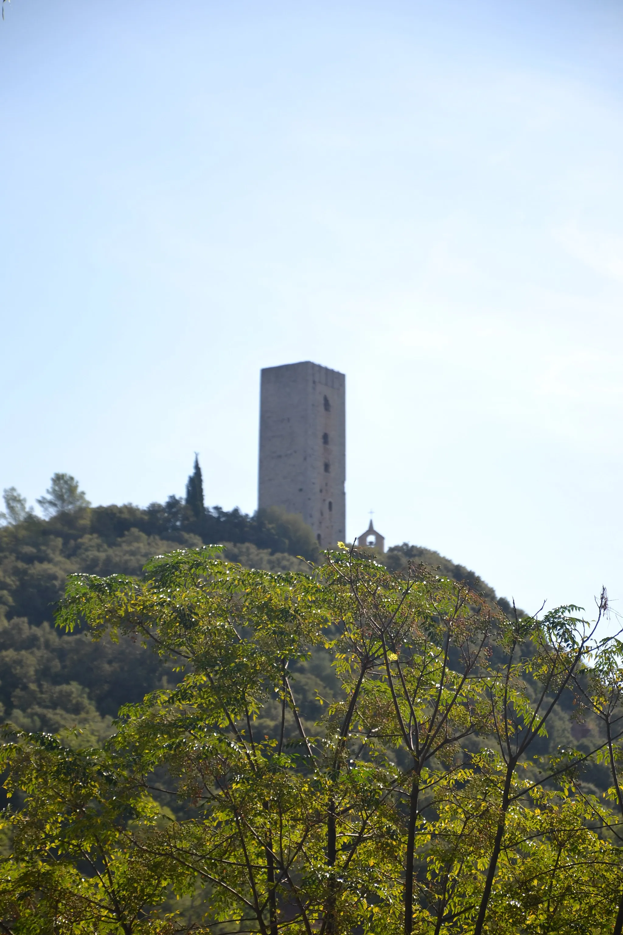 Photo showing: Taradelle de Taradeau