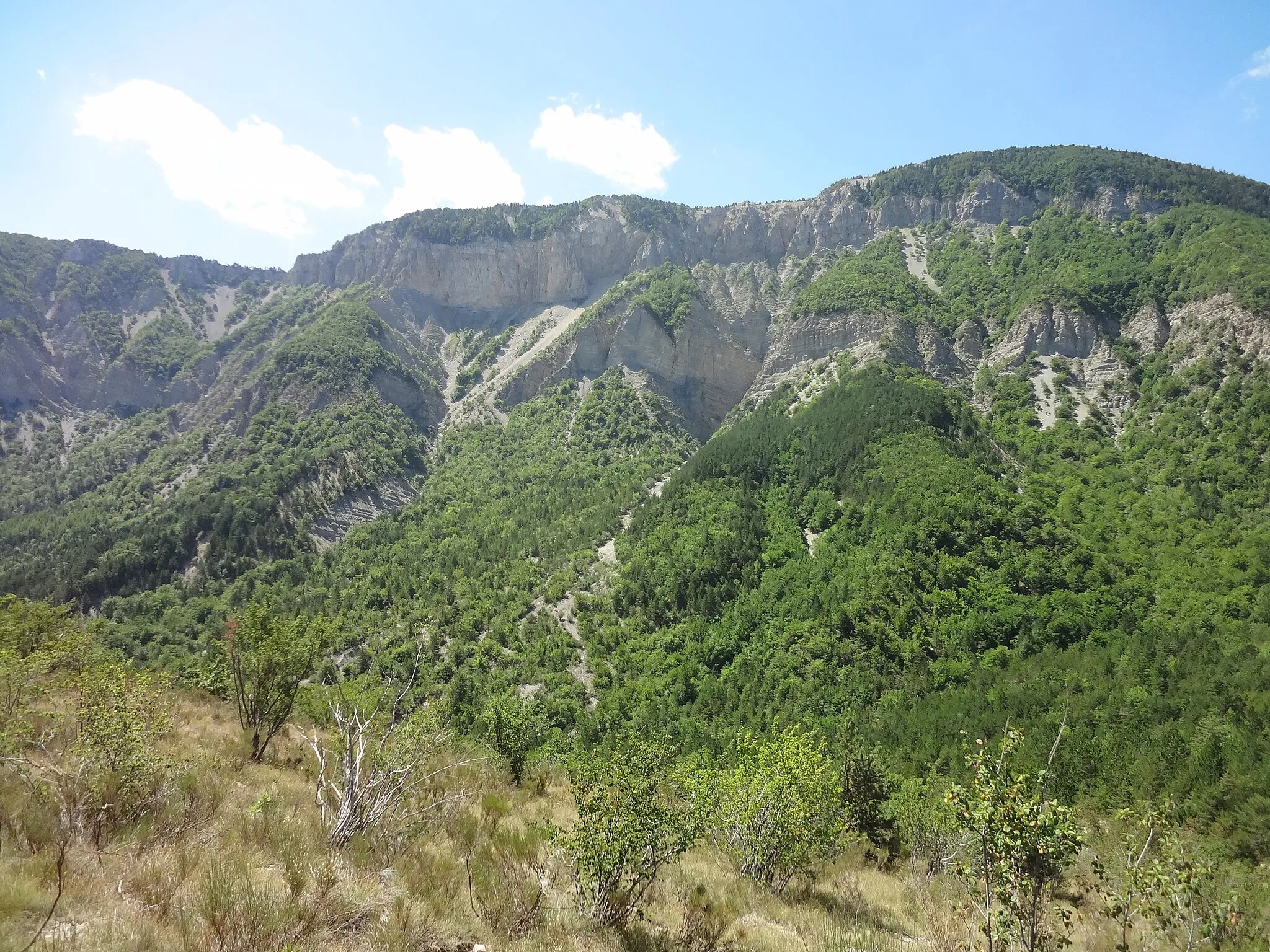 Photo showing: Versant nord de la montagne de lure sous le Tréboux