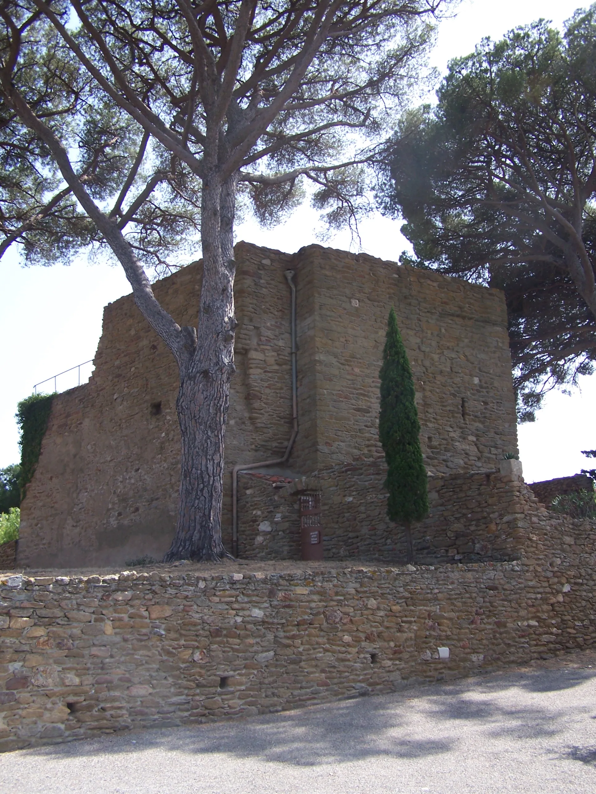 Photo showing: Château des Seigneurs de Fos