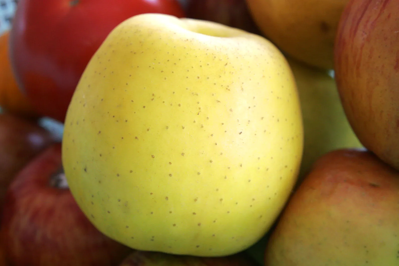 Photo showing: Golden delecious apple fruit