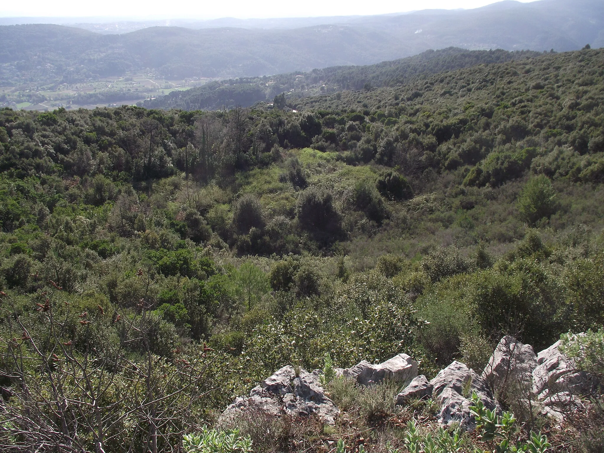 Photo showing: Vue d'une doline sur le Malmont Draguignan Var France