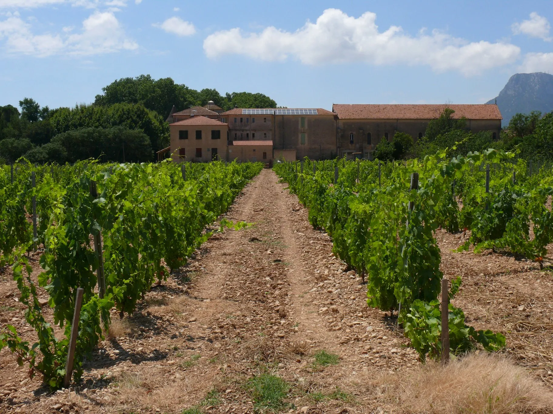 Photo showing: The diocesan domain of La Castille in Solliès-Ville (Var, Provence-Alpes-Côte d'Azur, France).