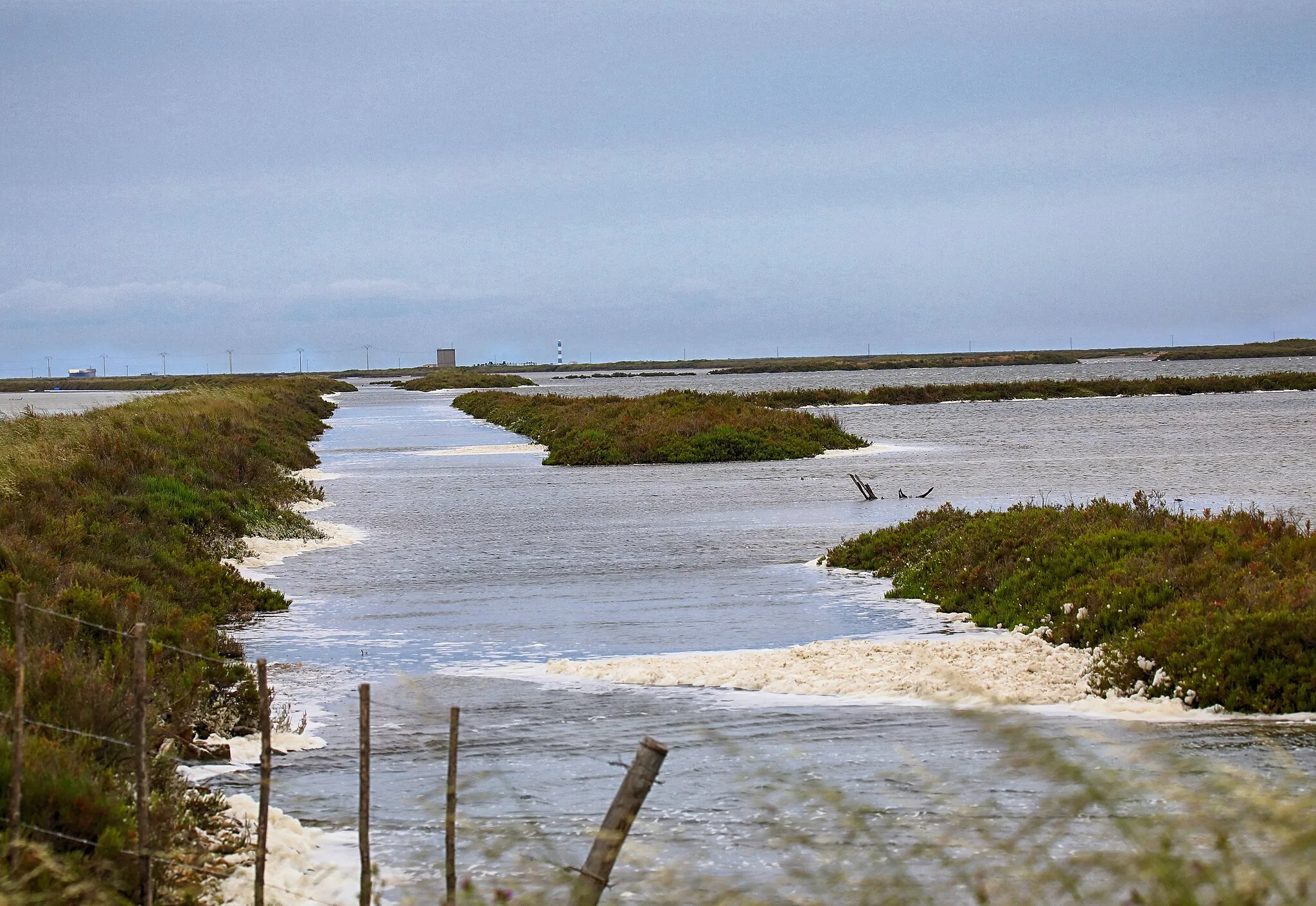 Photo showing: 20170427 010 Camargue