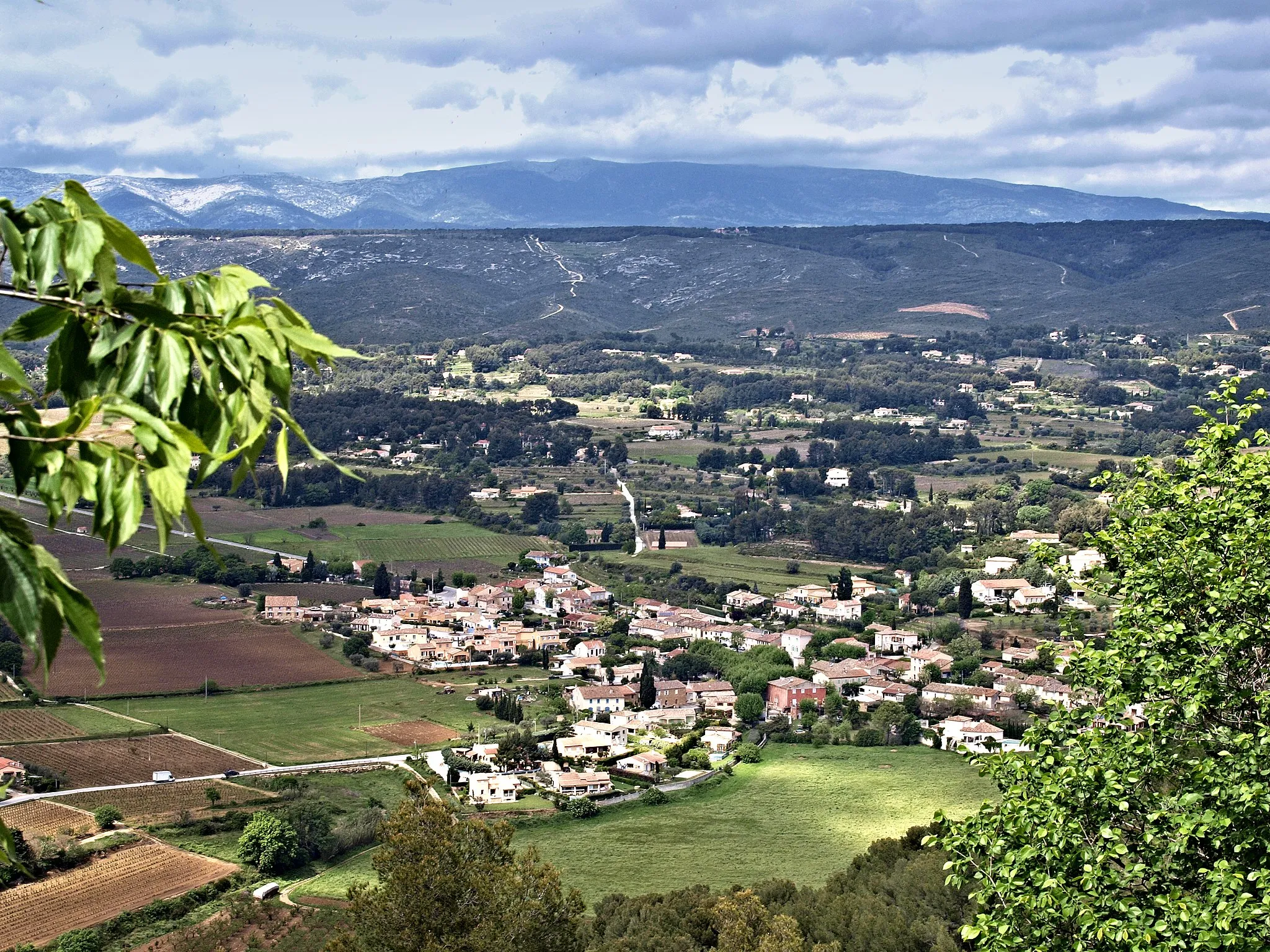 Photo showing: Le Castellet (Var - France) - Le Brulat