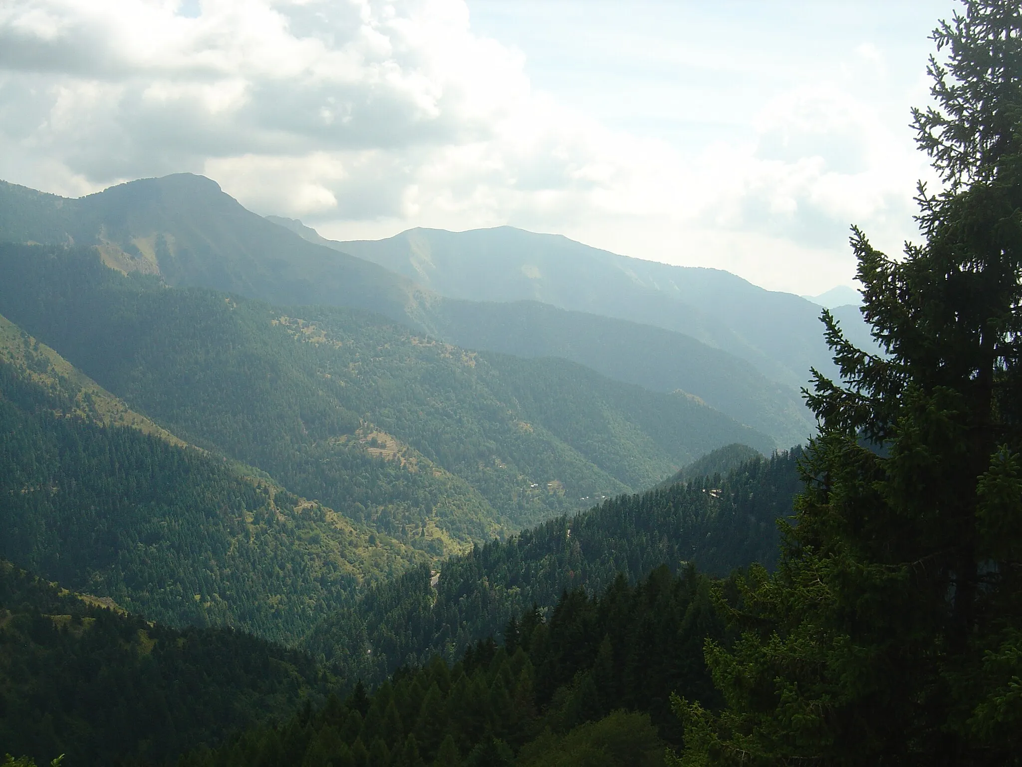 Photo showing: Forêt de conifères dans l'ascension du col de Turini par le Sud-Est. vue depuis la route du Camp d'Argent et de l'Authion