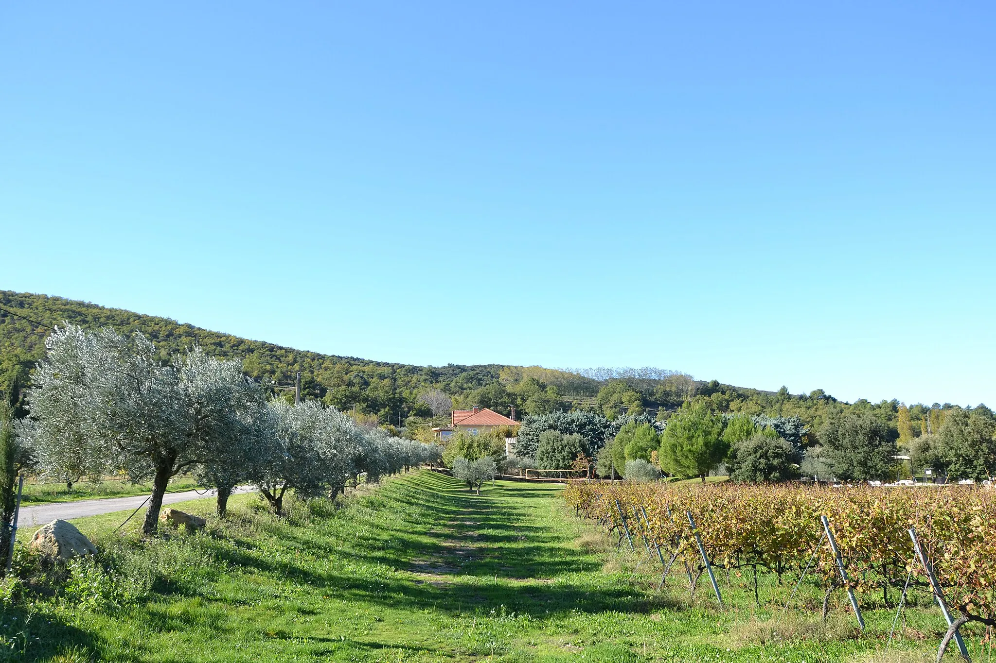 Photo showing: vue vers l'oppidum de Clarier