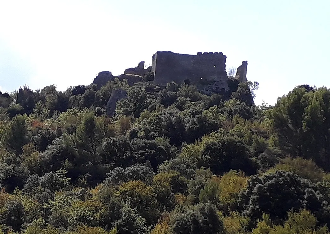 Photo showing: L'ancien château de Vernègues dans la végétation, vu de l'est.