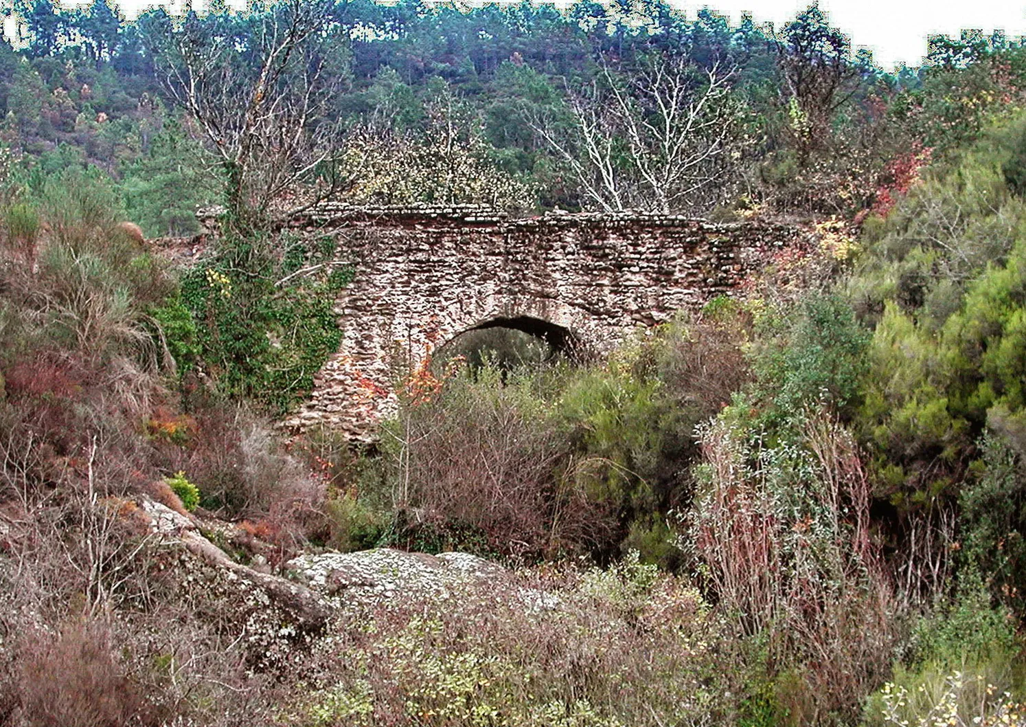 Photo showing: Pont de Jaumin (amont Malpasset)