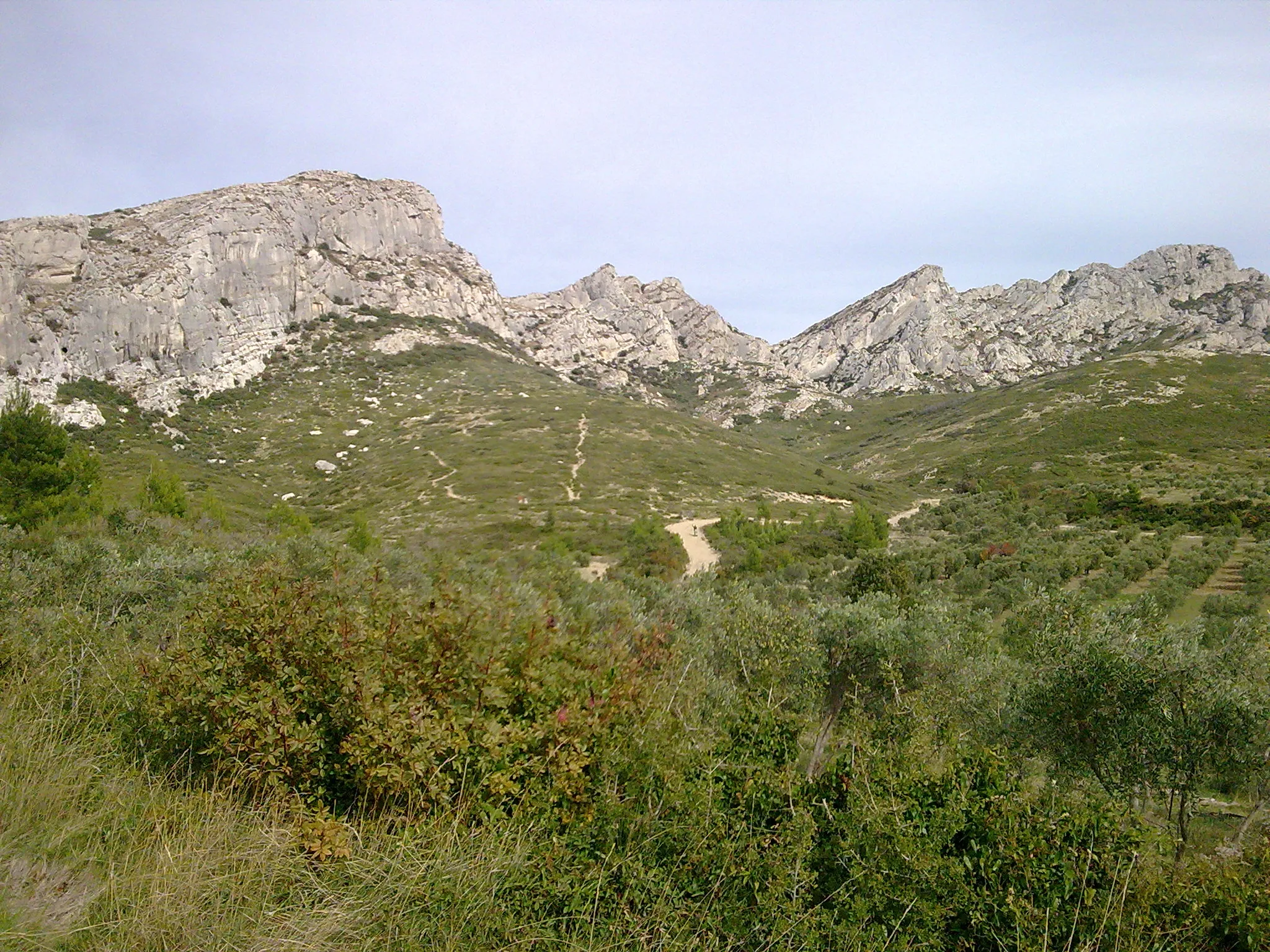 Photo showing: Massif des Alpilles à Aureille (Bouches-du-Rhône)