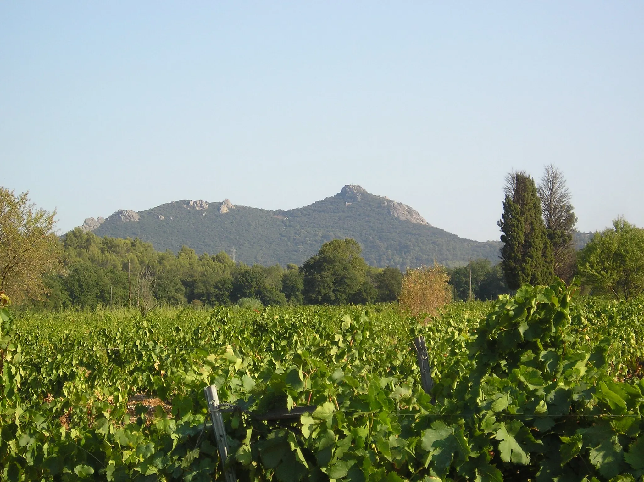 Photo showing: a see of the north side of the Fenouillet hills, in the department of Var, in France.
See from the domain of "La Castille", La Crau, Var.