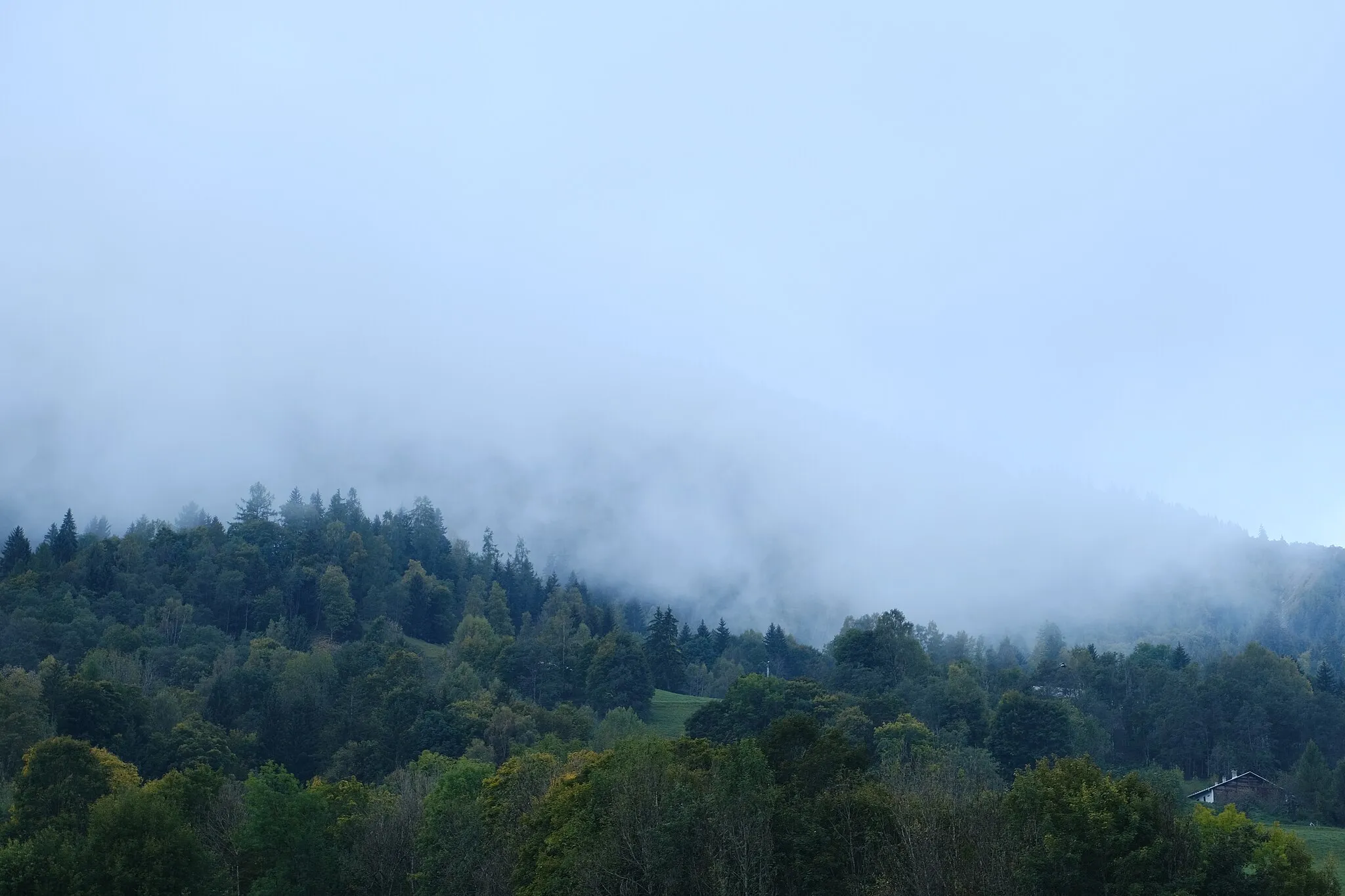 Photo showing: Brouillard @ Les Houches