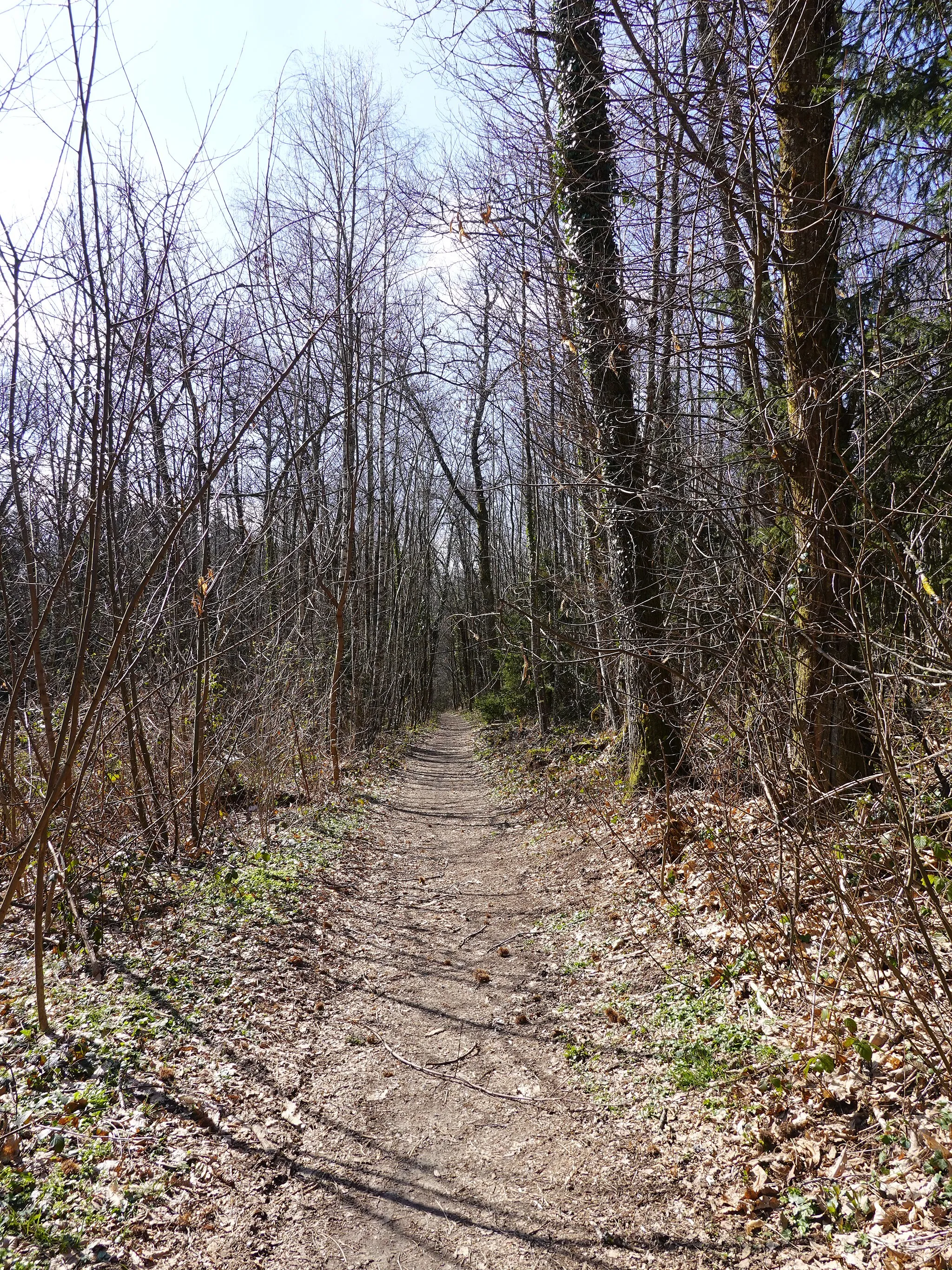 Photo showing: Sur le Mont @ Bois de Montessuie @ Sillingy