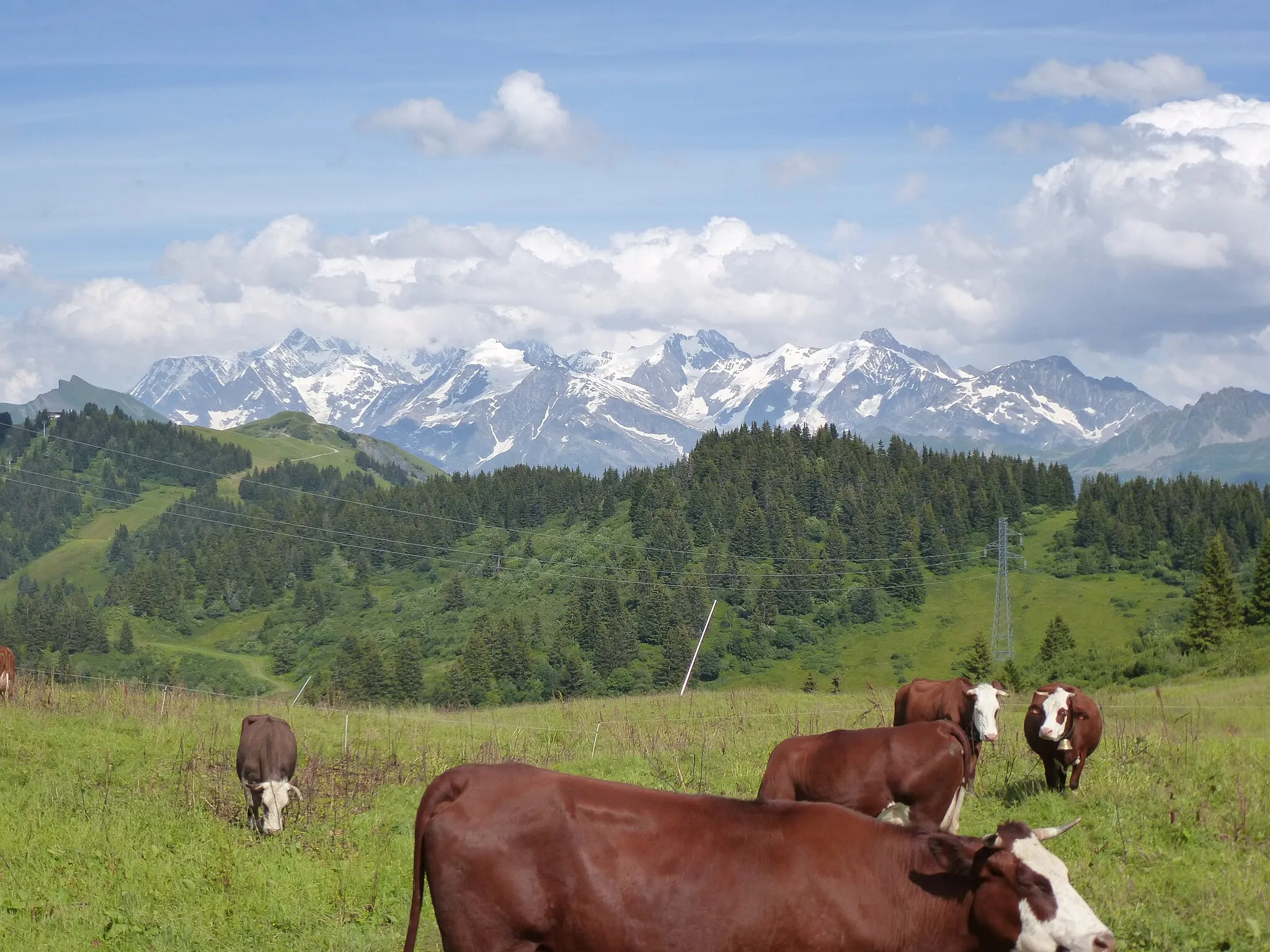 Photo showing: le massif du mont blanc depuis le col de la lezette