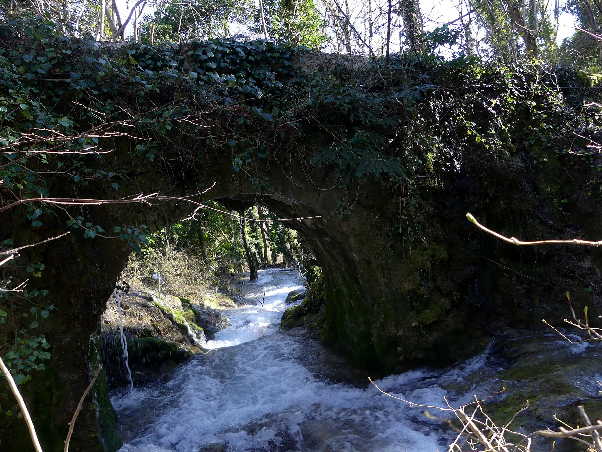 Photo showing: Sight of the arch of Arbin aqueduct crossing Nant Bauchet stream, in Savoie, France.