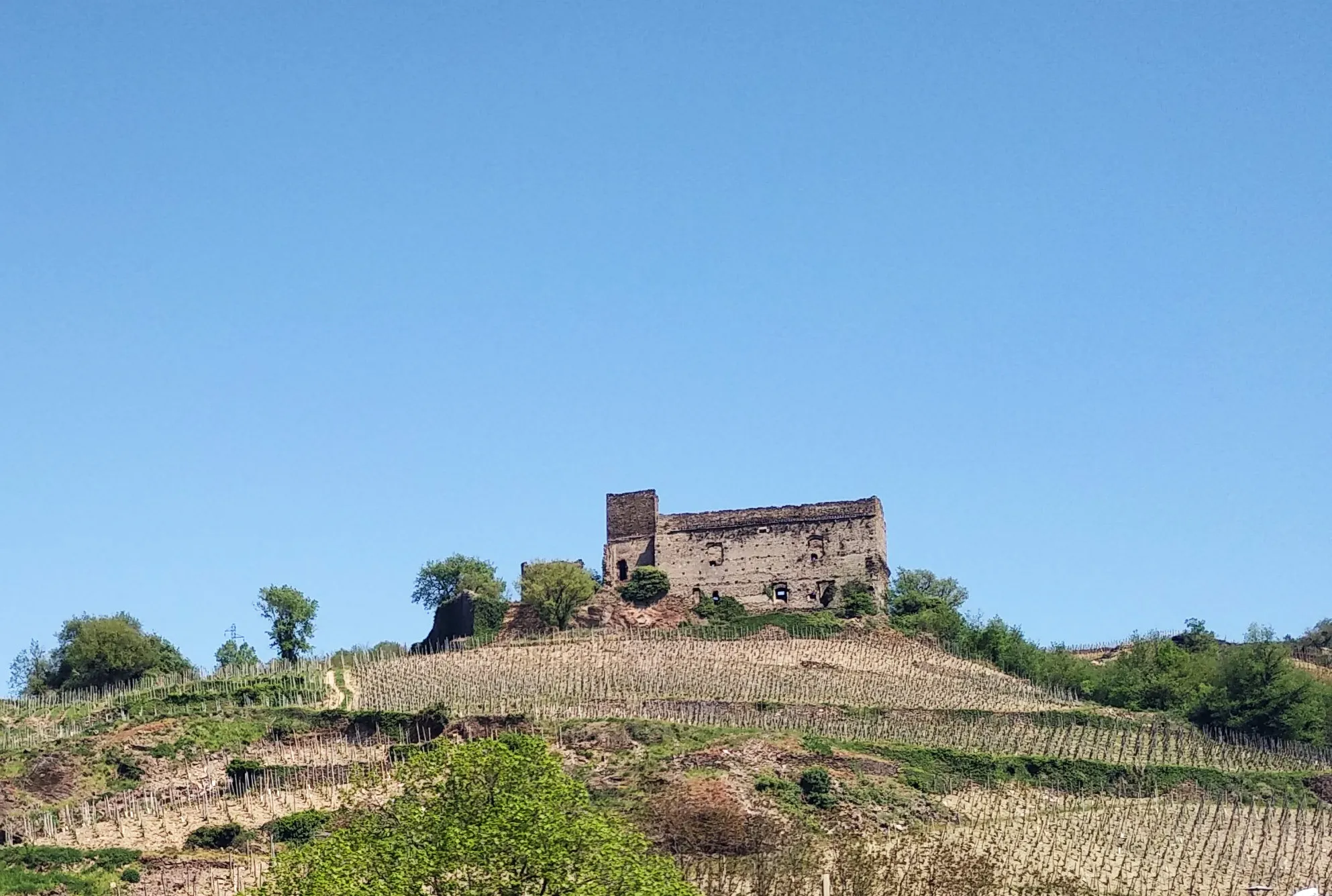 Photo showing: Château et vignoble de Seyssuel.