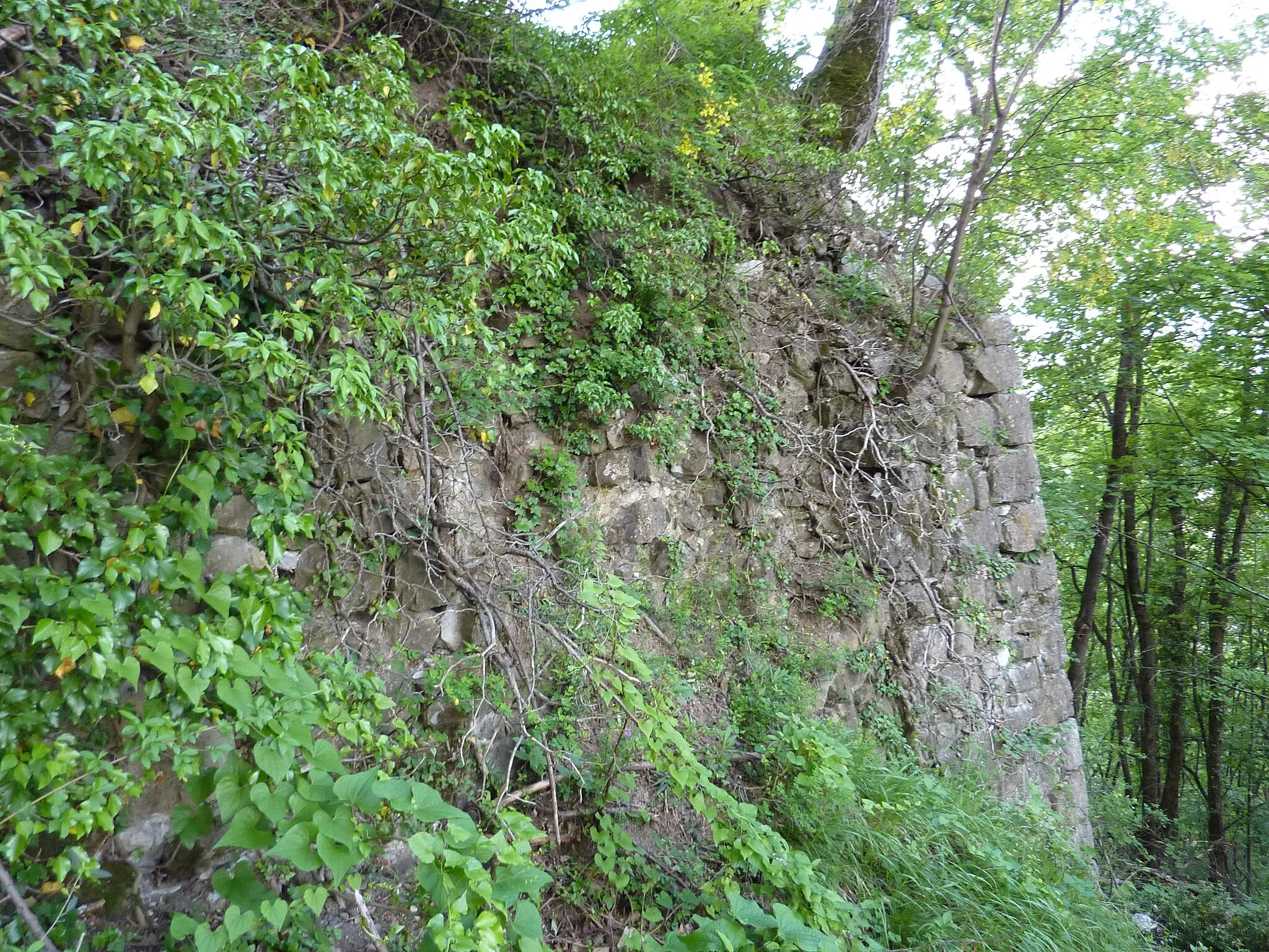 Photo showing: Ruins of the château Corbeau in Meylan, Isère, France. South support wall.