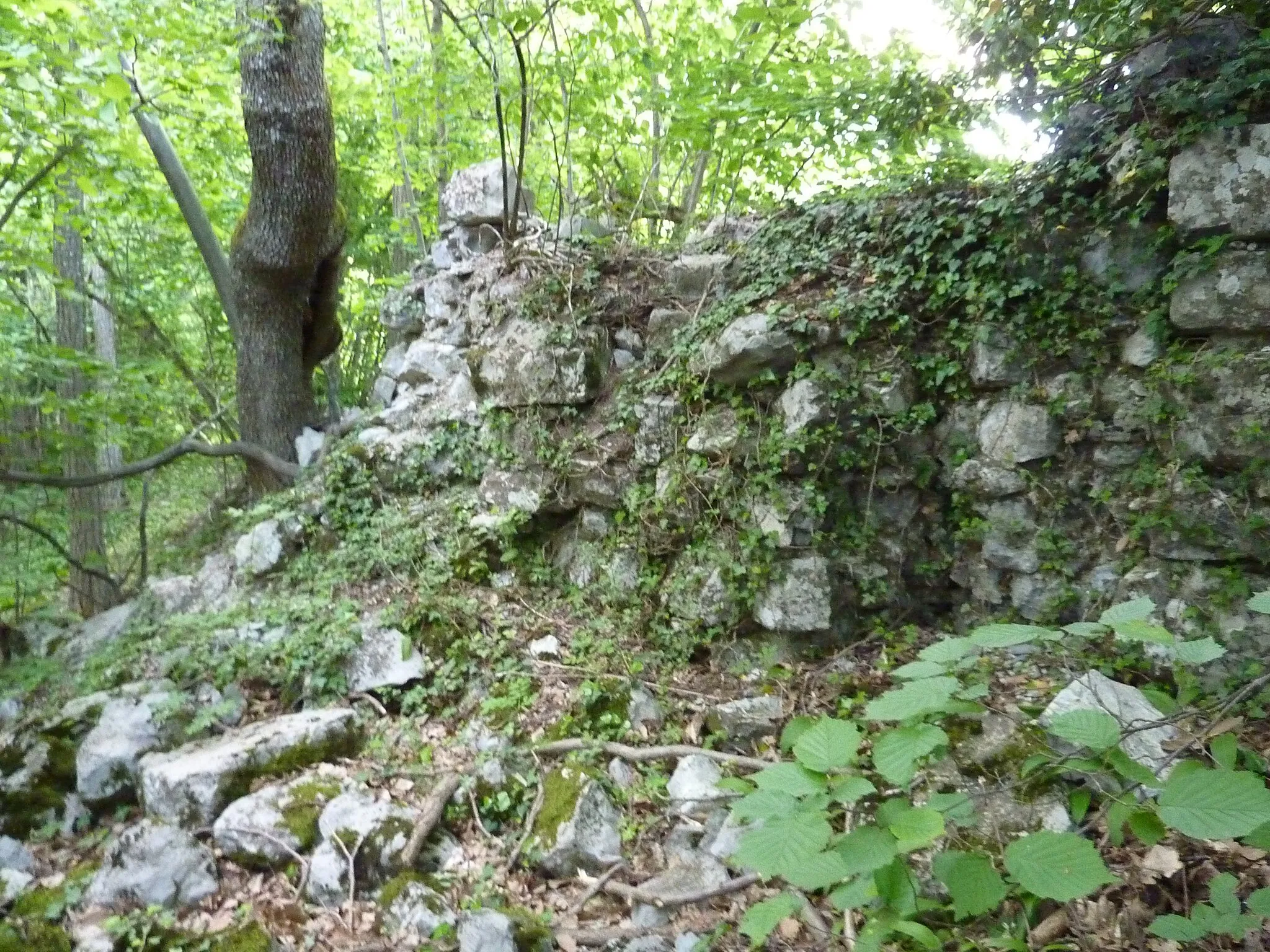 Photo showing: Ruins of the château Corbeau in Meylan, Isère, France. Internal side of east wall.