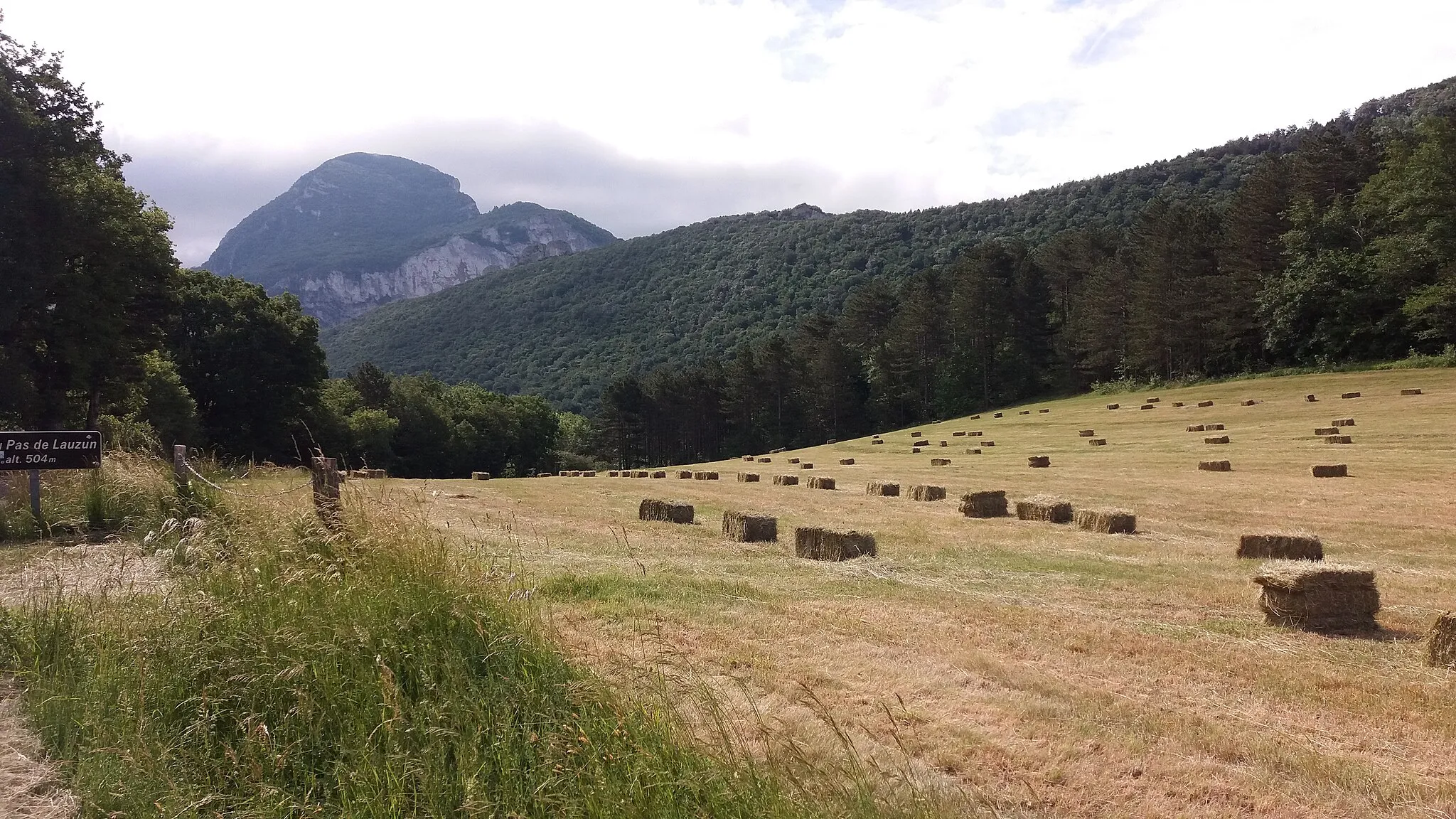 Photo showing: Champ avec des petites bottes de foin rectangulaires et vue sur le Grand Pomerolle (1 062 mètres), l'un des sommets de la forêt de Saou.