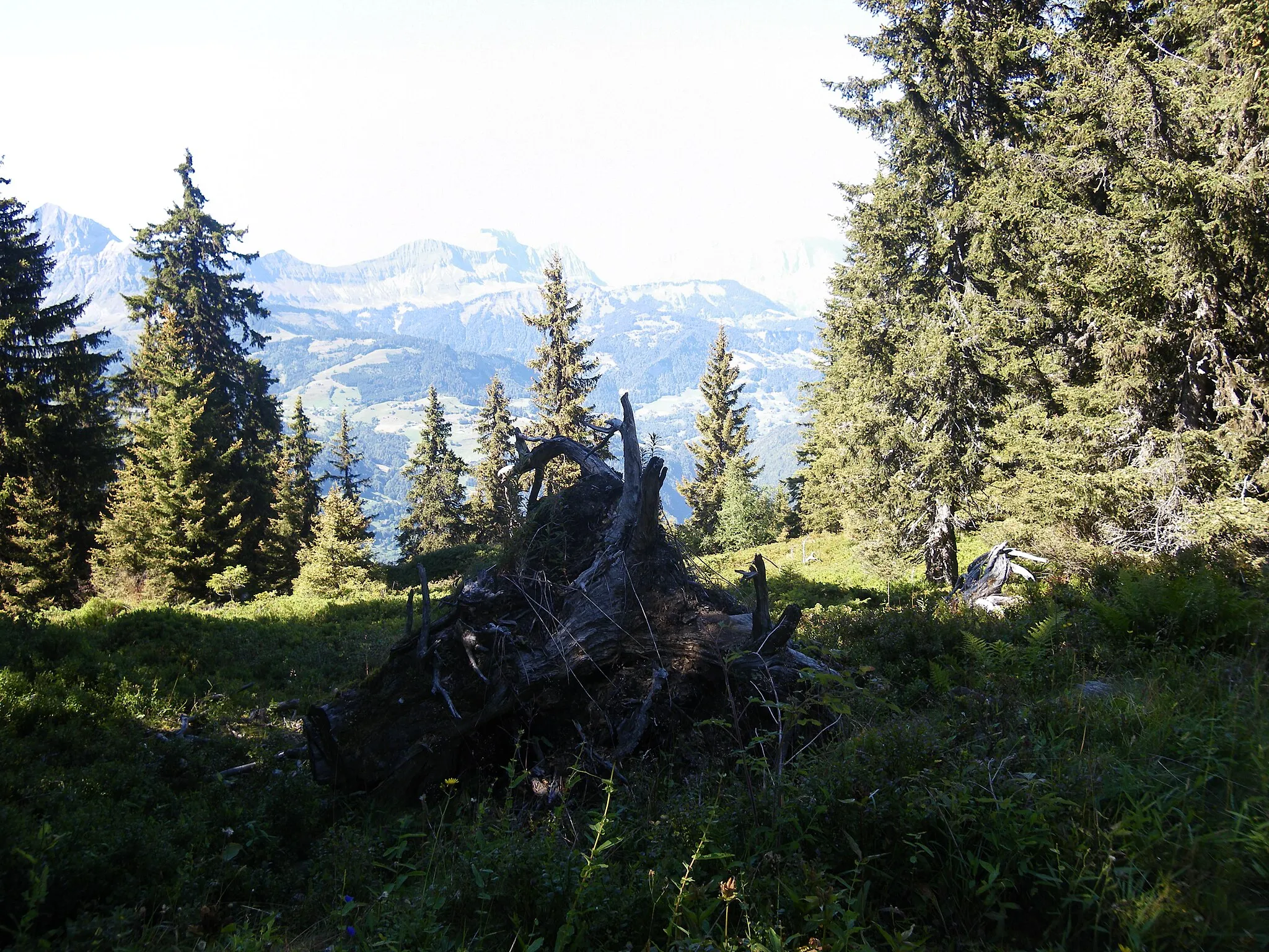 Photo showing: les aravis depuis le sentier de la croix de coste