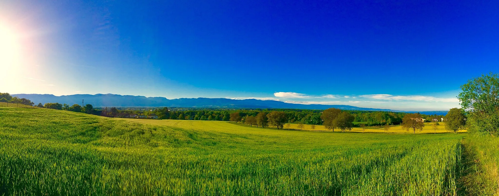 Photo showing: Panorama des hauteurs de la Campagne de Tournay, à Pregny-Chambésy (GE), en Suisse.