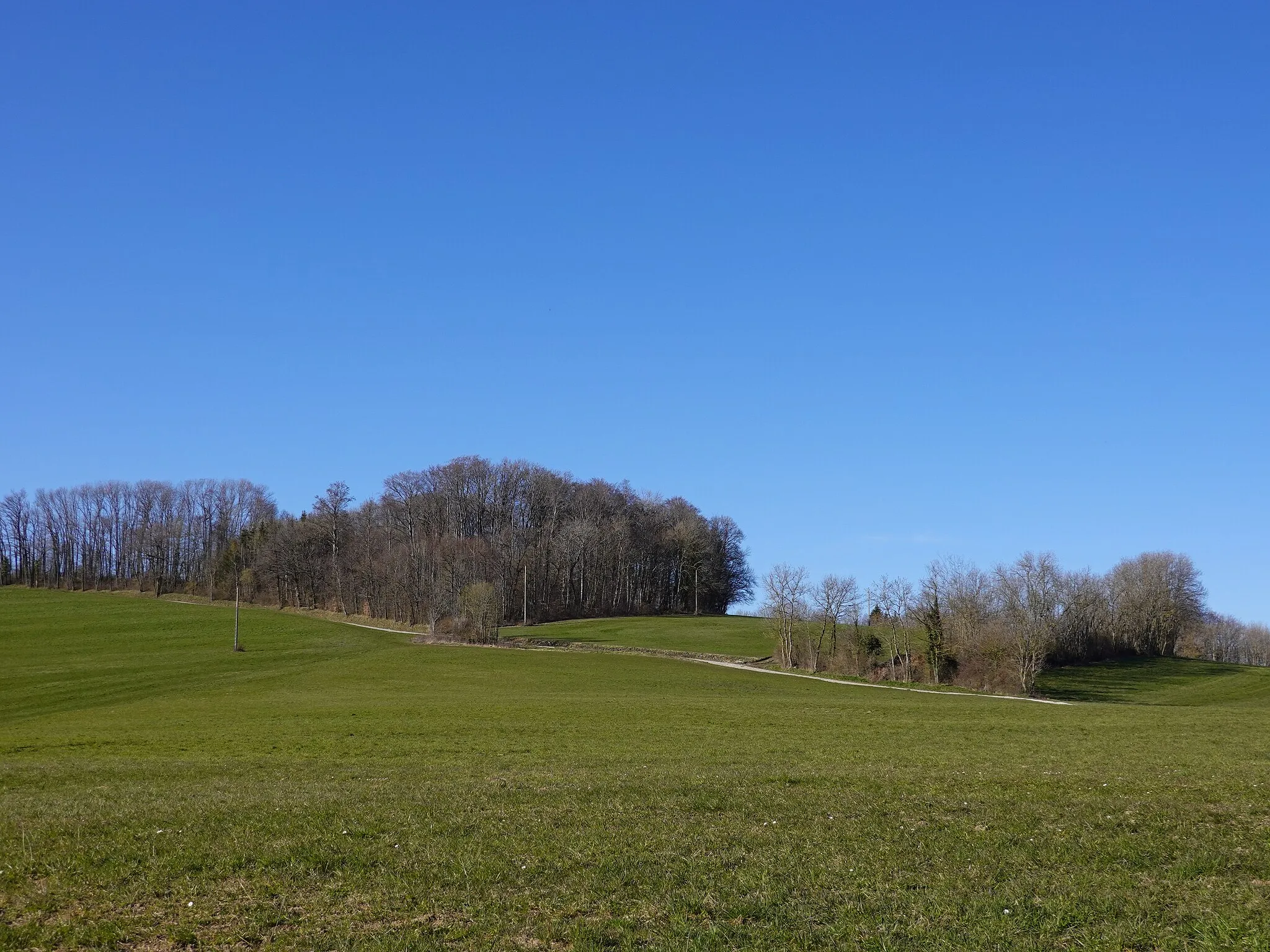 Photo showing: Col du Mont Sion @ Saint-Blaise