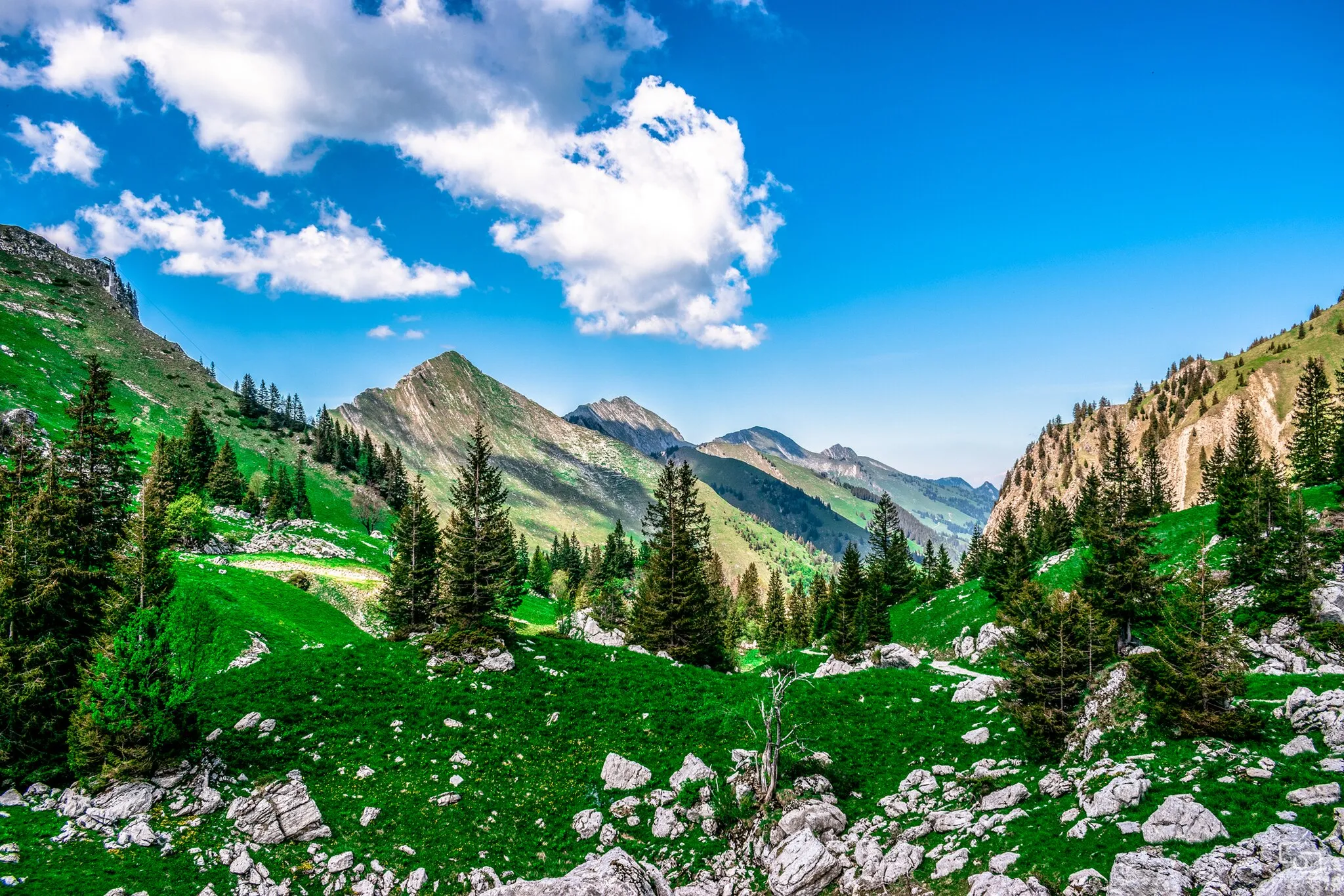 Photo showing: The Col de Jaman is a mountain pass in the western Swiss Alps