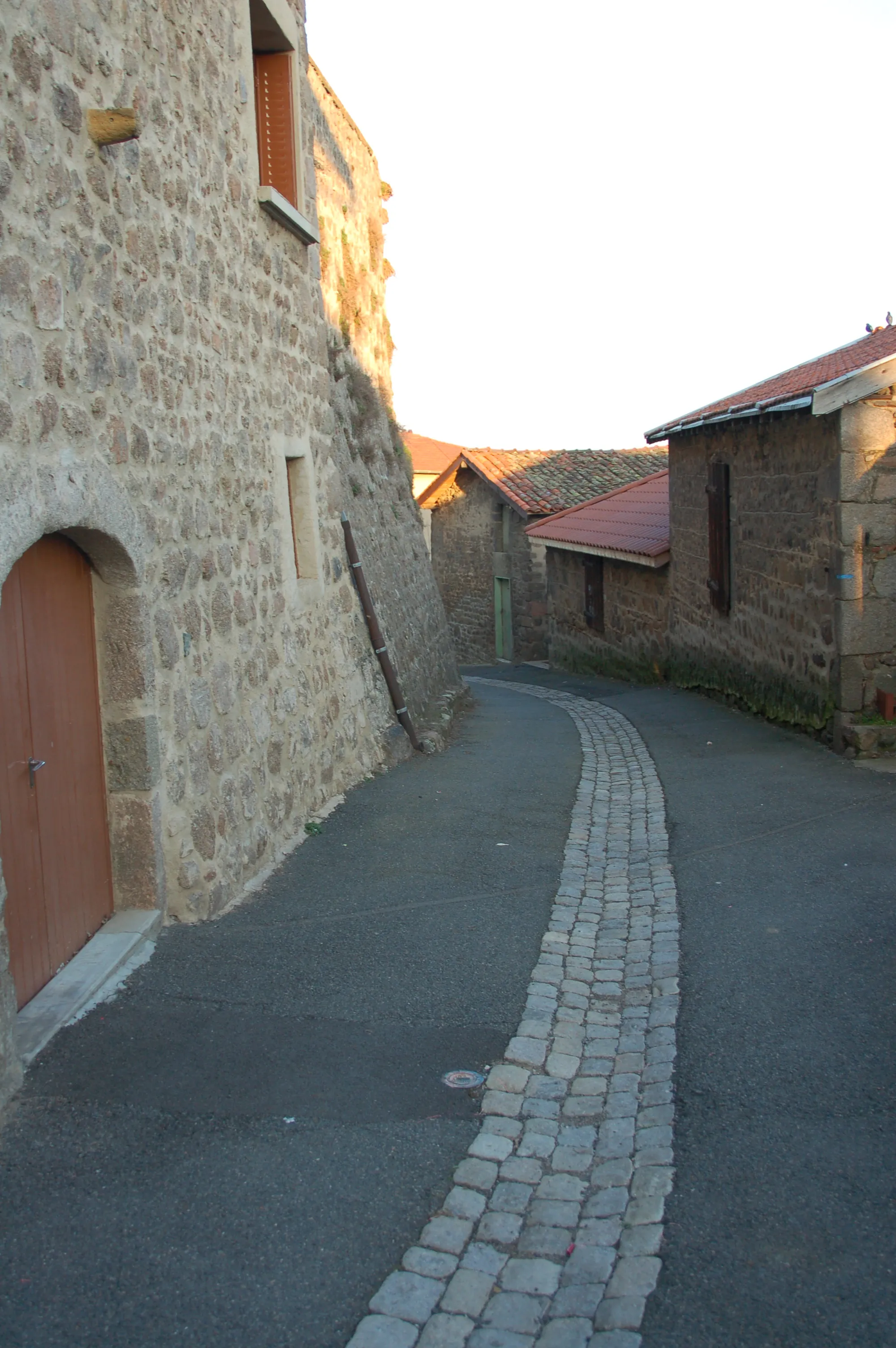 Photo showing: Une ruelle de Montrottier.