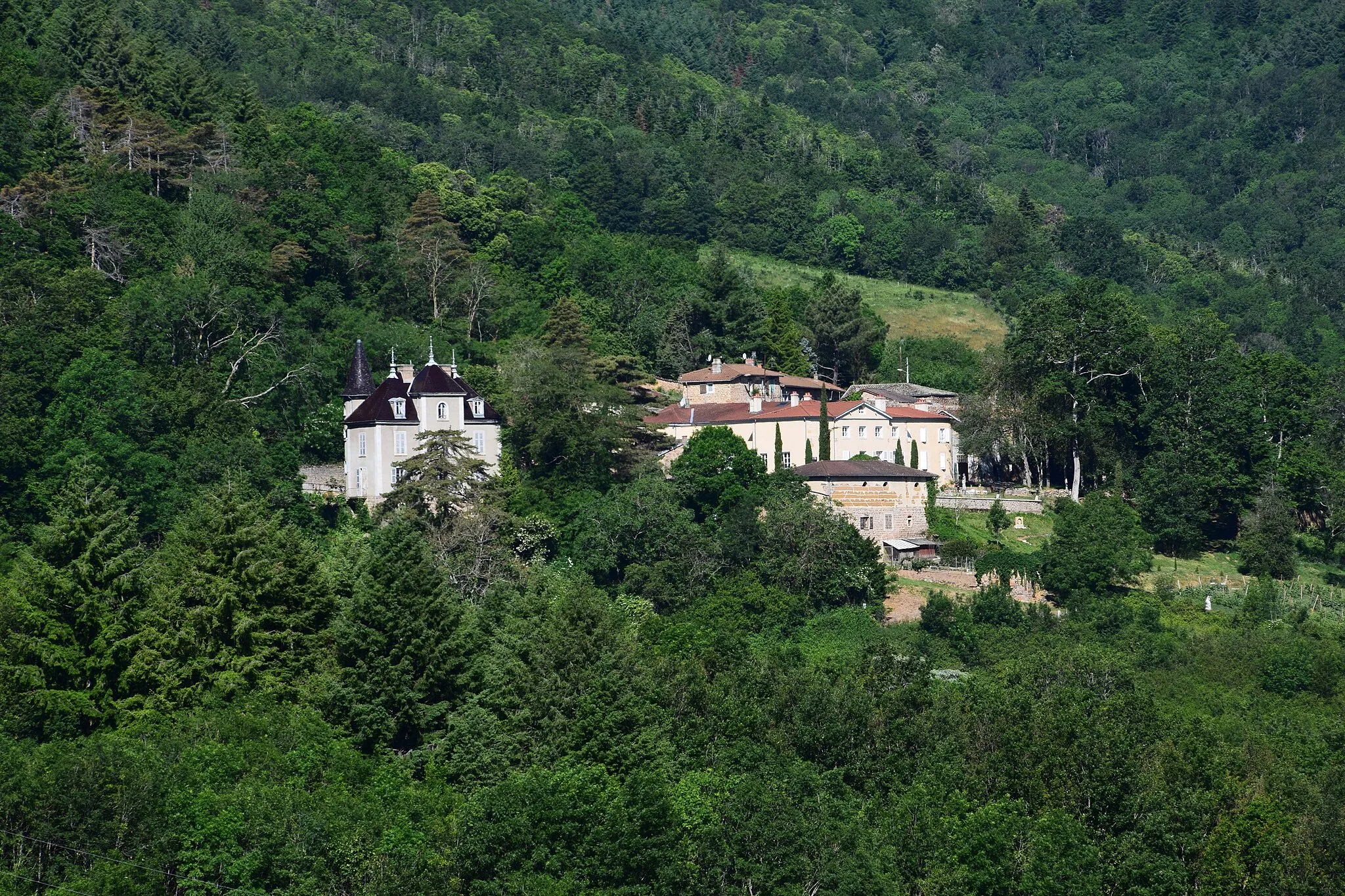 Photo showing: Château de l'Hestange à Blacé 69