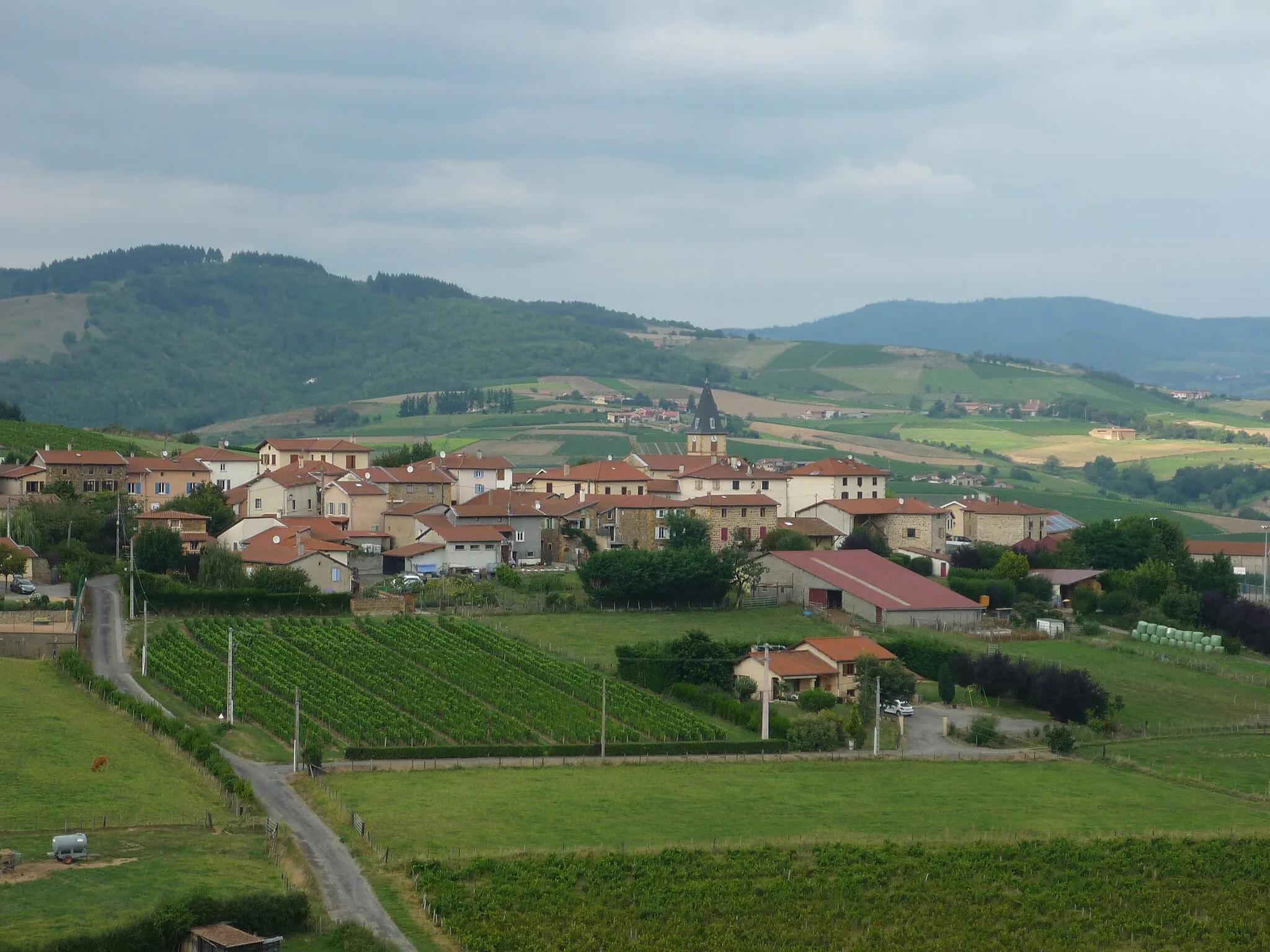 Photo showing: Vue générale du bourg de Dareizé, depuis la route départementale 31 au sud.