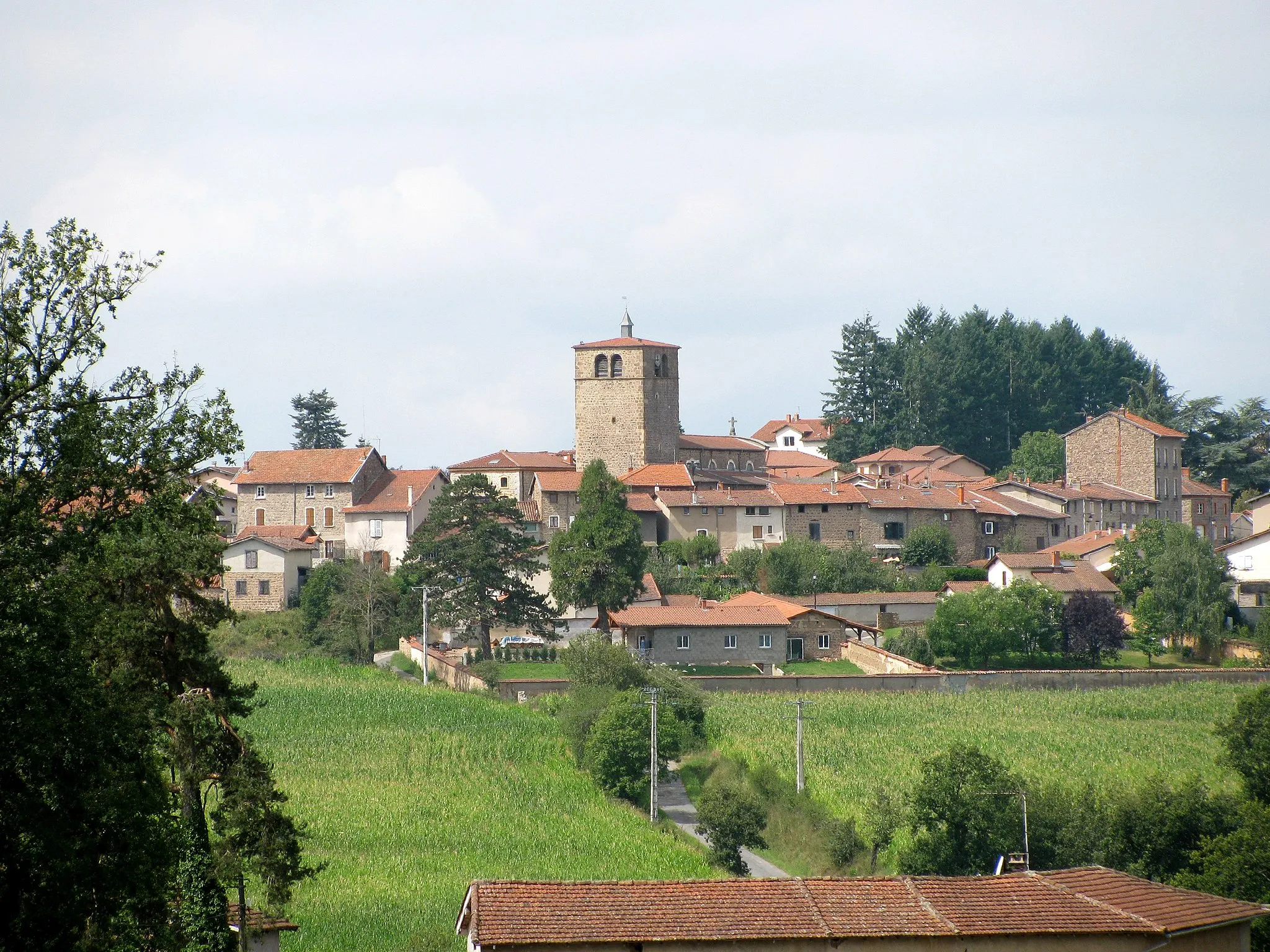 Photo showing: Haute-Rivoire, northeast view from the Thoranche valley. The series of adjoining houses at the foot of the bell tower follows the route of the ancient ramparts