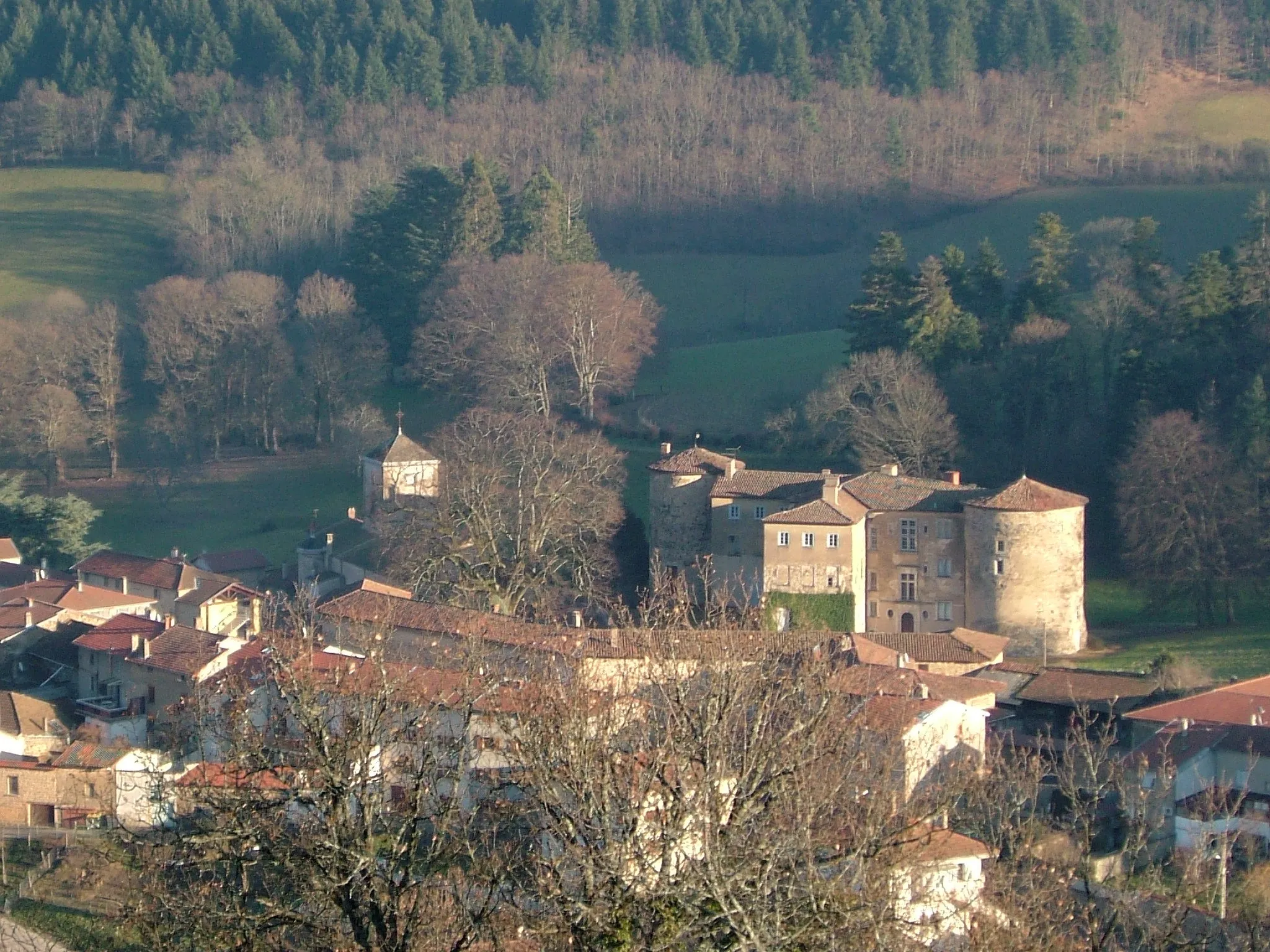 Photo showing: Chateau de Joux
