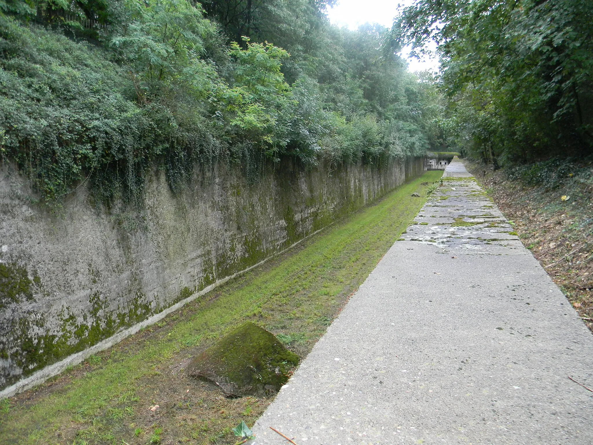 Photo showing: Fossé vu depuis le chemin de ronde du Fort de Saint-Priest.
Les morceaux de béton visibles dans le fossé sont des débris d'un abris sous talus détruit par les Allemands lors de leur défaite.