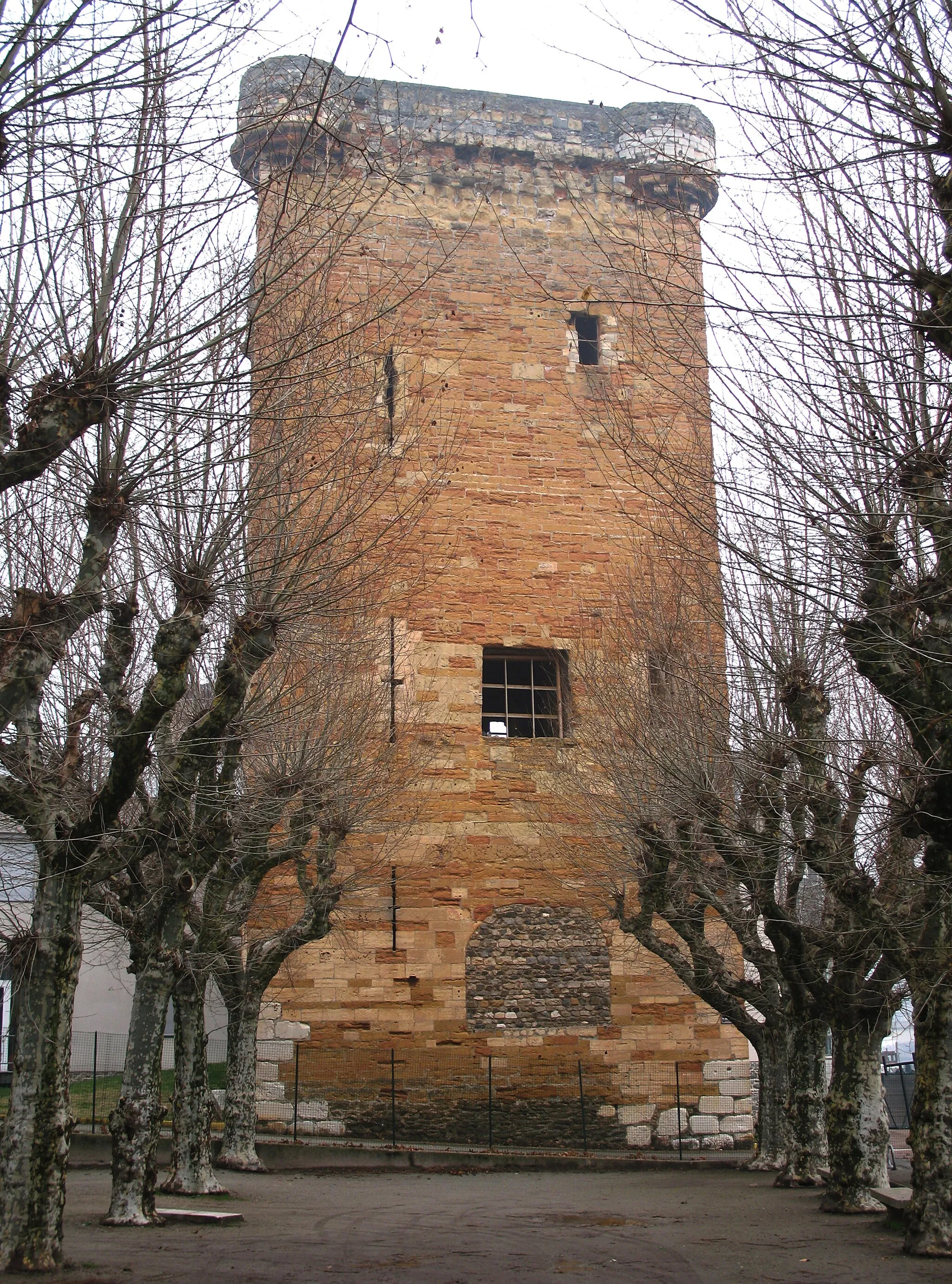 Photo showing: Tour des Valois à Sainte-Colombe dans le Rhône.