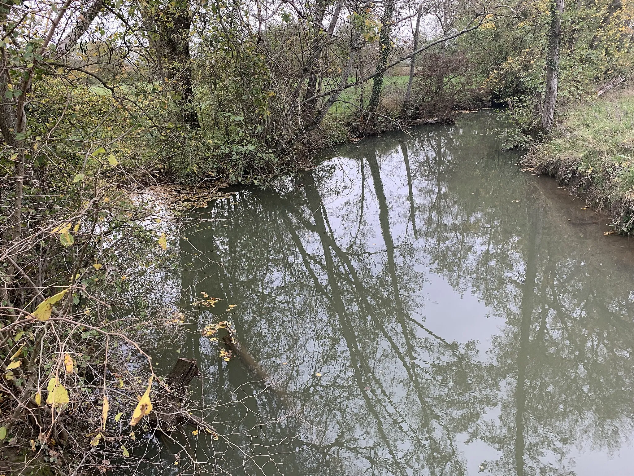 Photo showing: Le Menthon près de la route des Gambys, Saint-Cyr-sur-Menthon.