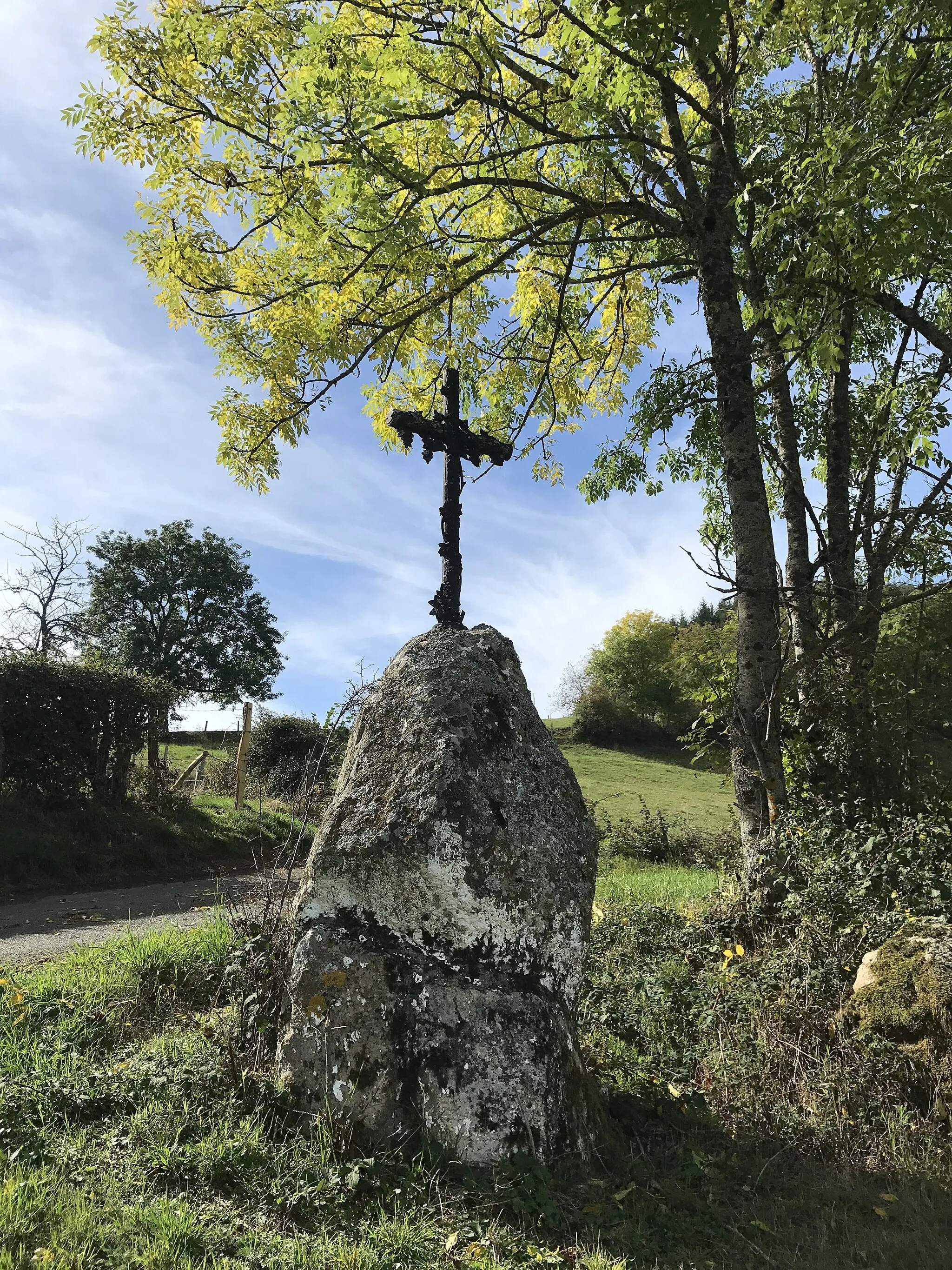 Photo showing: Image de Saint-Bonnet-le-Troncy en octobre 2017.