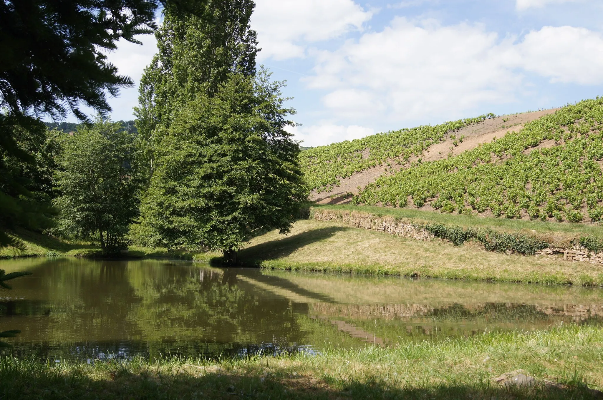 Photo showing: 7 viticulteurs sont encore en activité à Saint-Julien. Ses paysages vallonnés sont composés de vignes, de prés et d'un peu de bois.