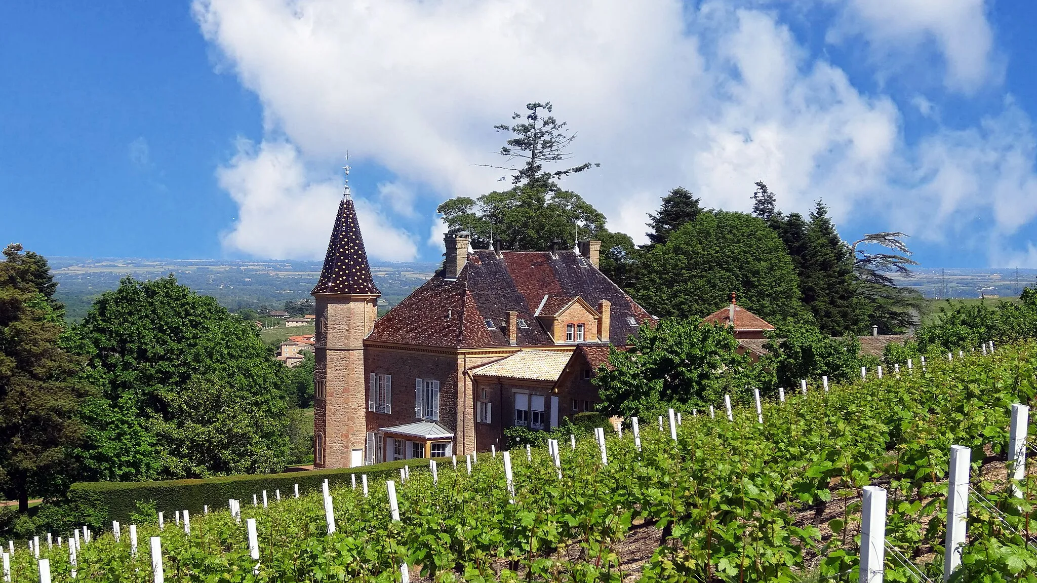 Photo showing: Château d'Espagne, Saint-Julien 69, France