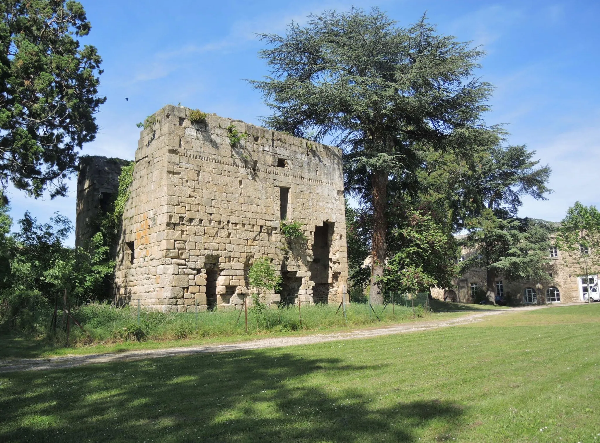 Photo showing: Colombier-le-Cardinal détail