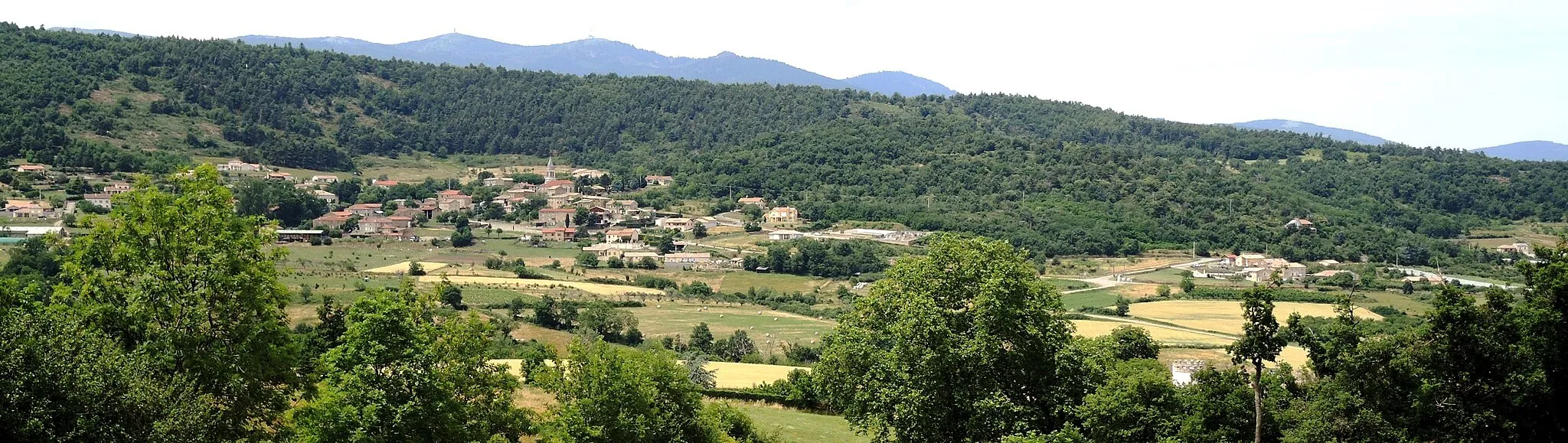 Photo showing: Vinzieux détail