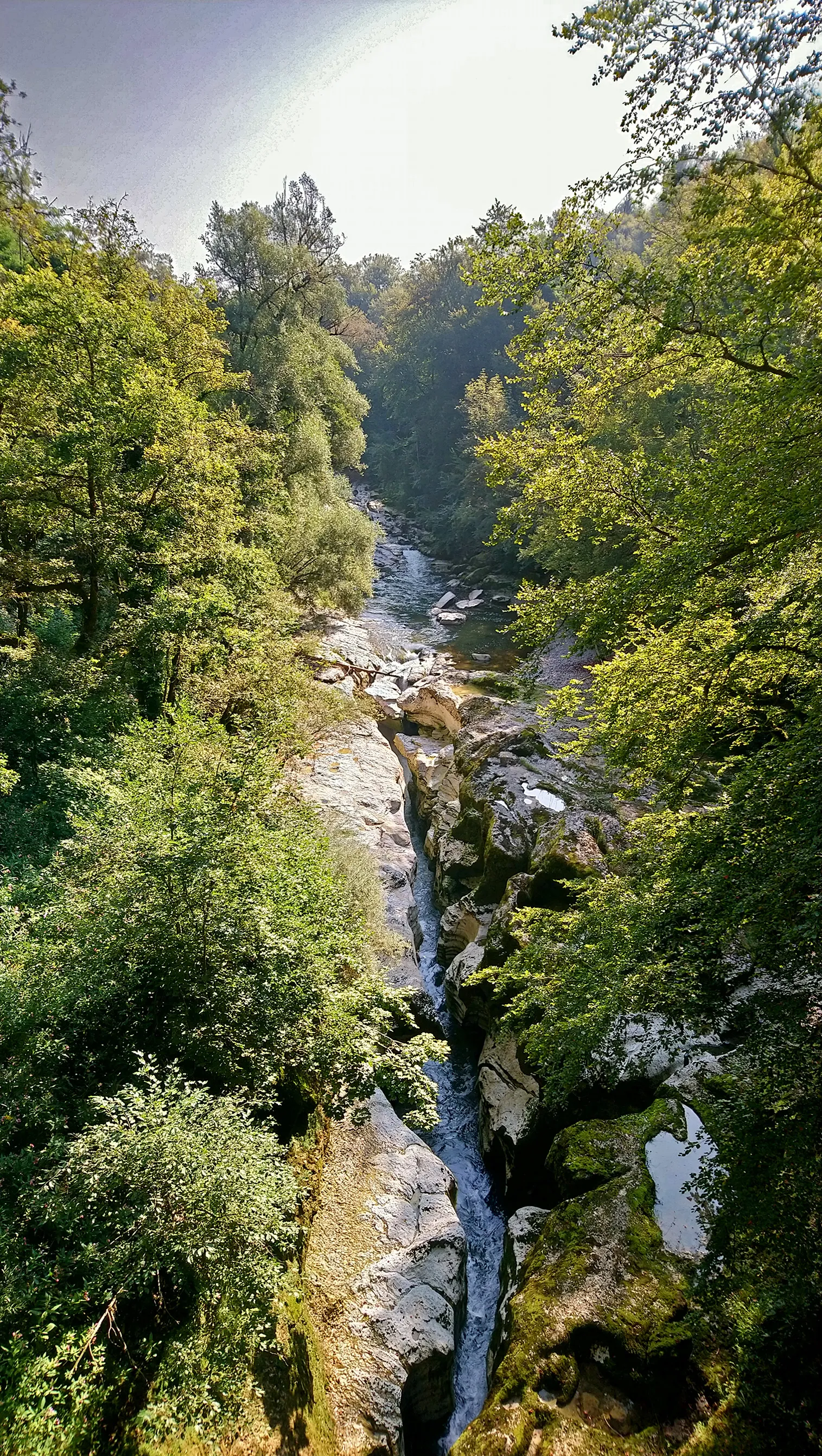 Photo showing: Fier river near the Gorges du Fier in Lovagny, France.