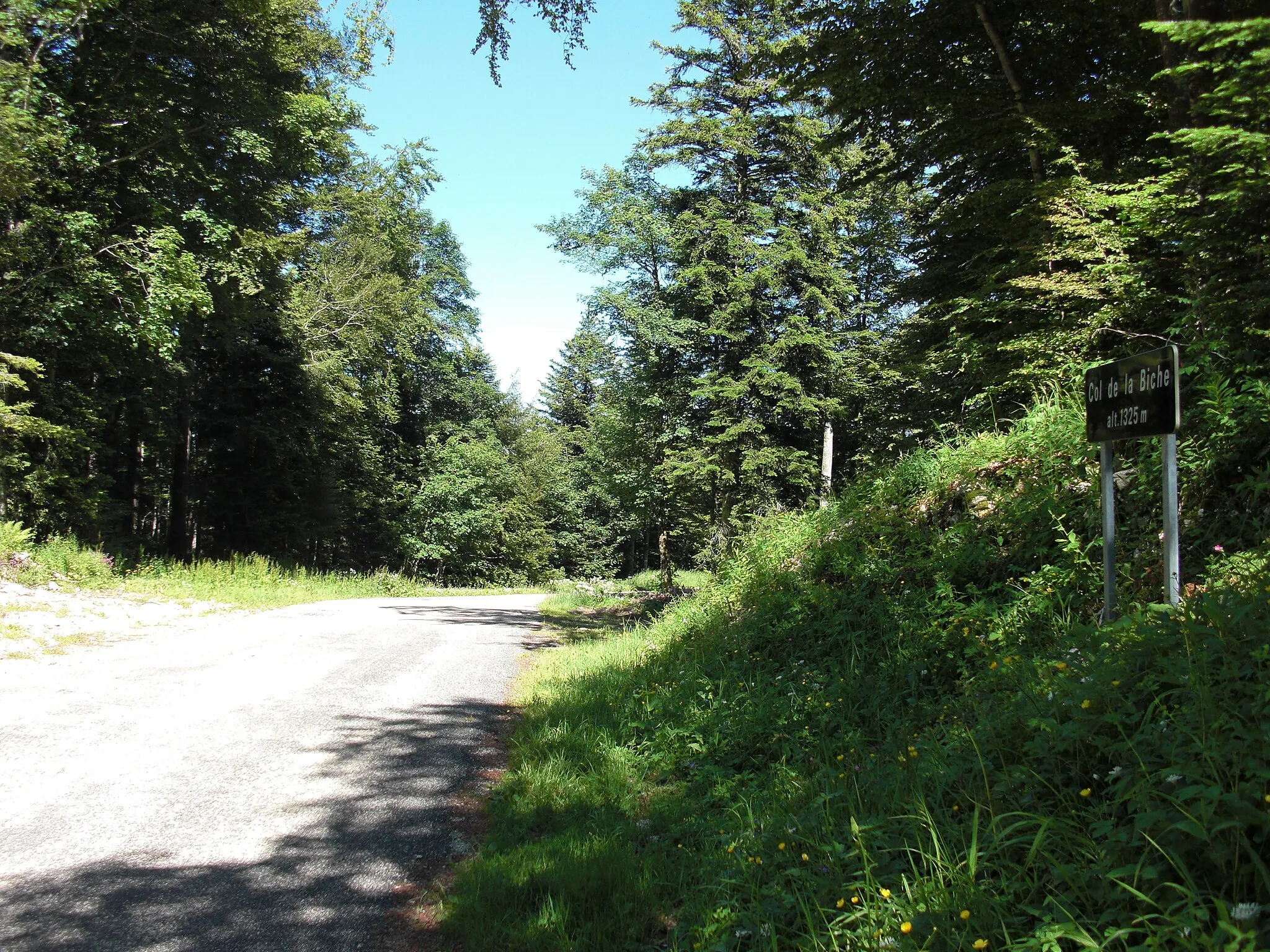 Photo showing: Col de la Biche - summit