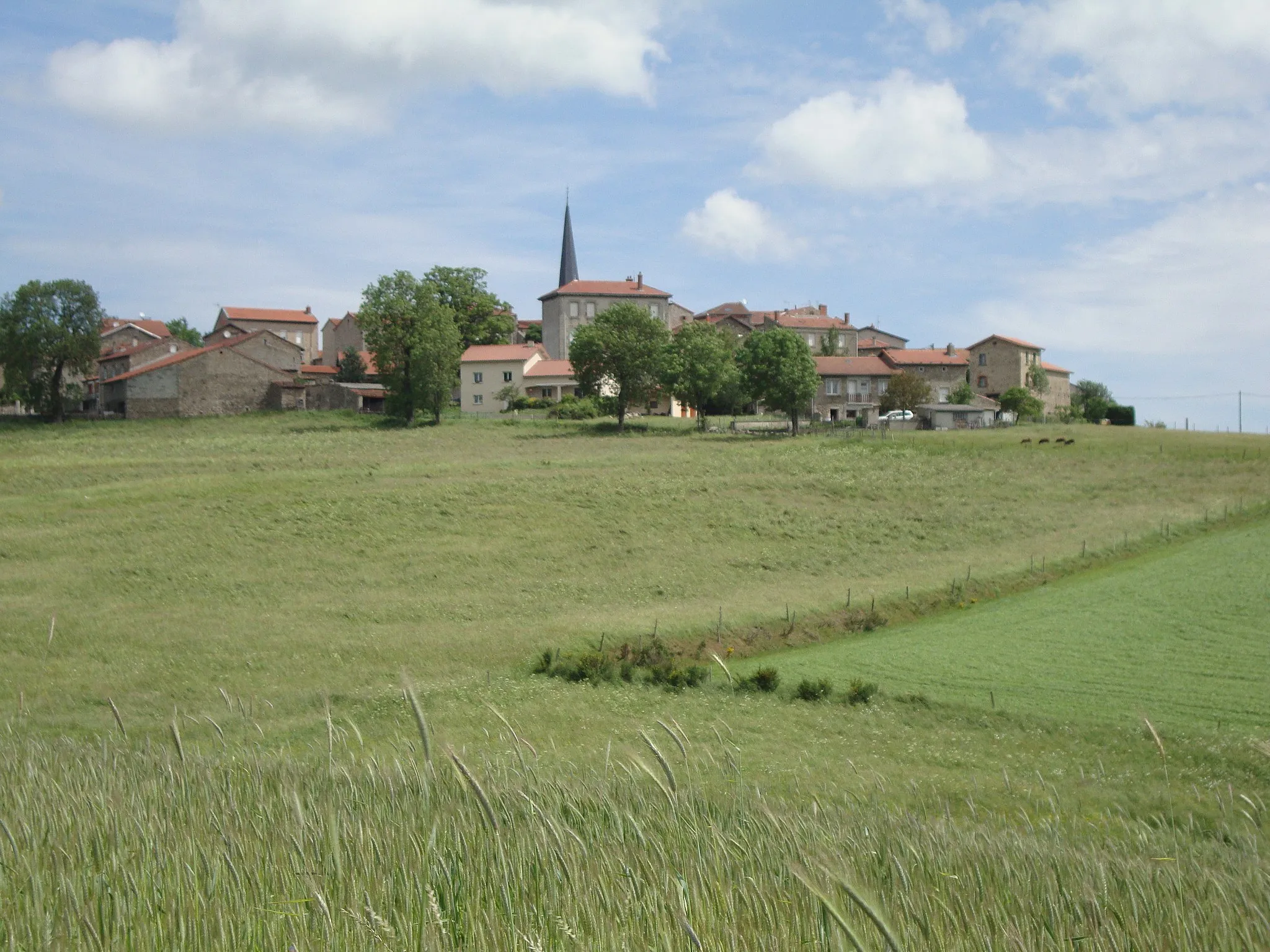 Photo showing: St.Victor-Malescours (Haute-Loire, Fr) paysage avec vure sur le village