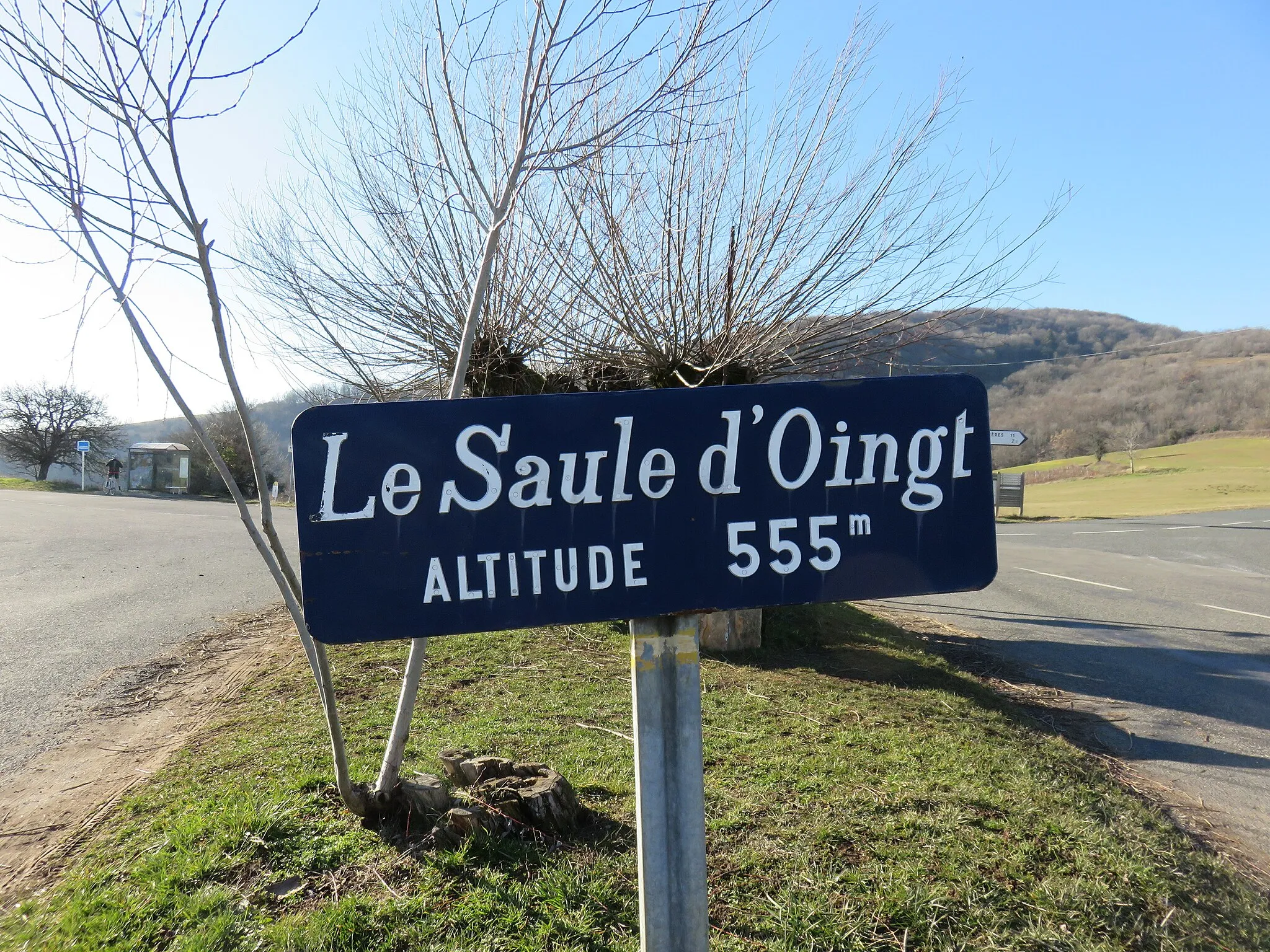 Photo showing: Panneau (ancien format) du Saule d'Oingt, à Ville-sur-Jarnioux (Rhône, France).