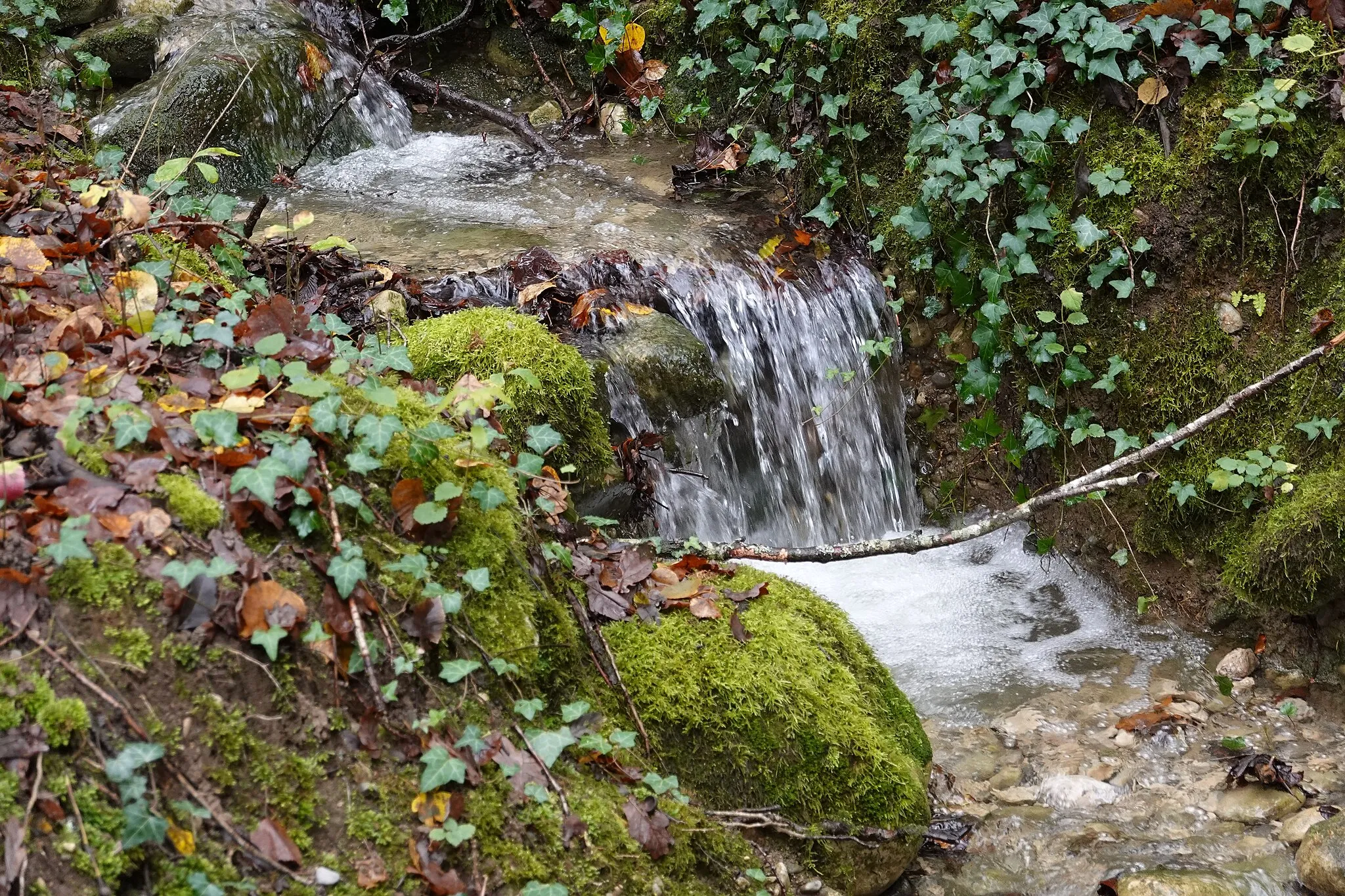 Photo showing: Brook @ Forest @ Lovagny