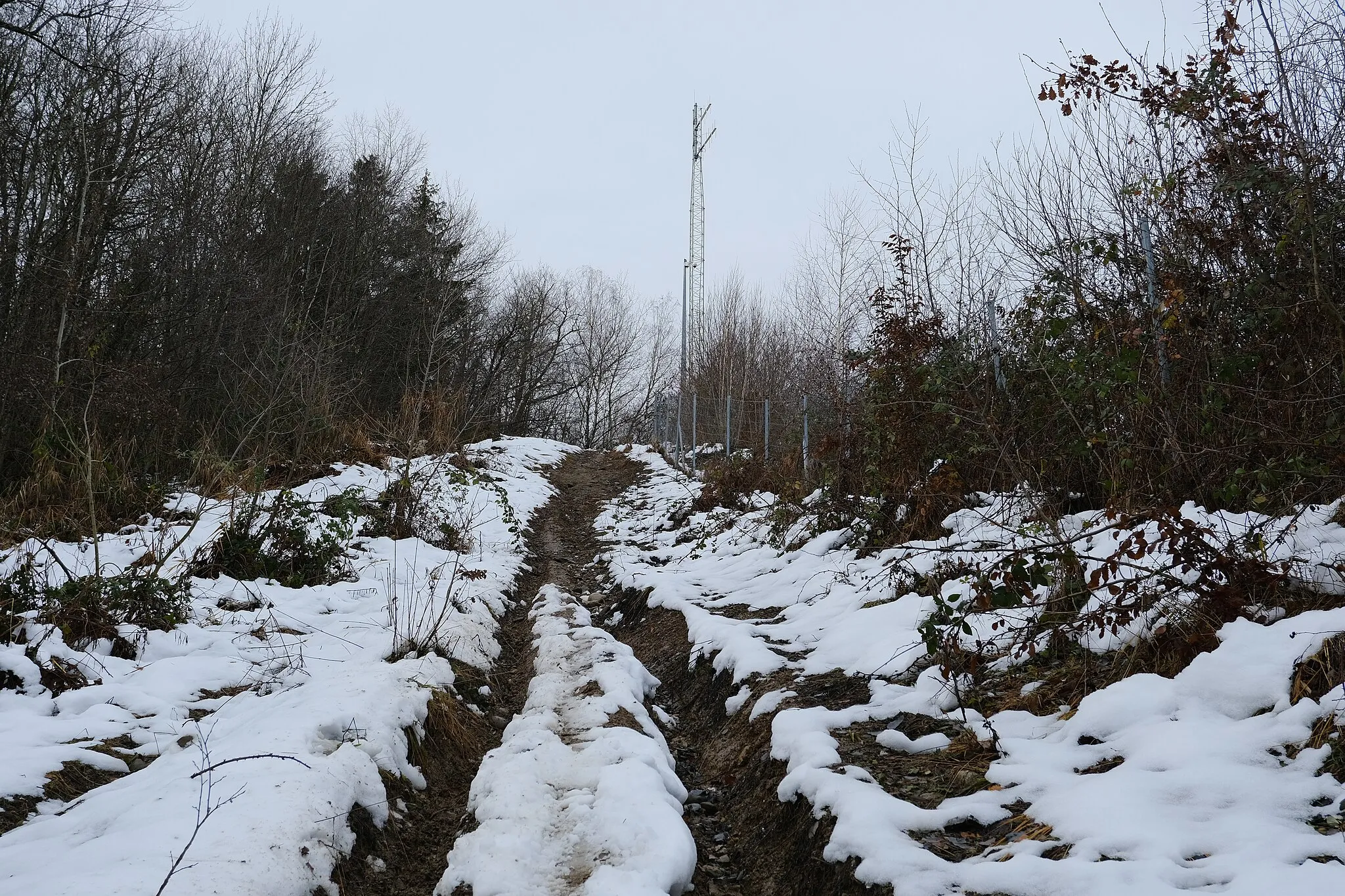 Photo showing: Antenne télécom @ Charvonnex