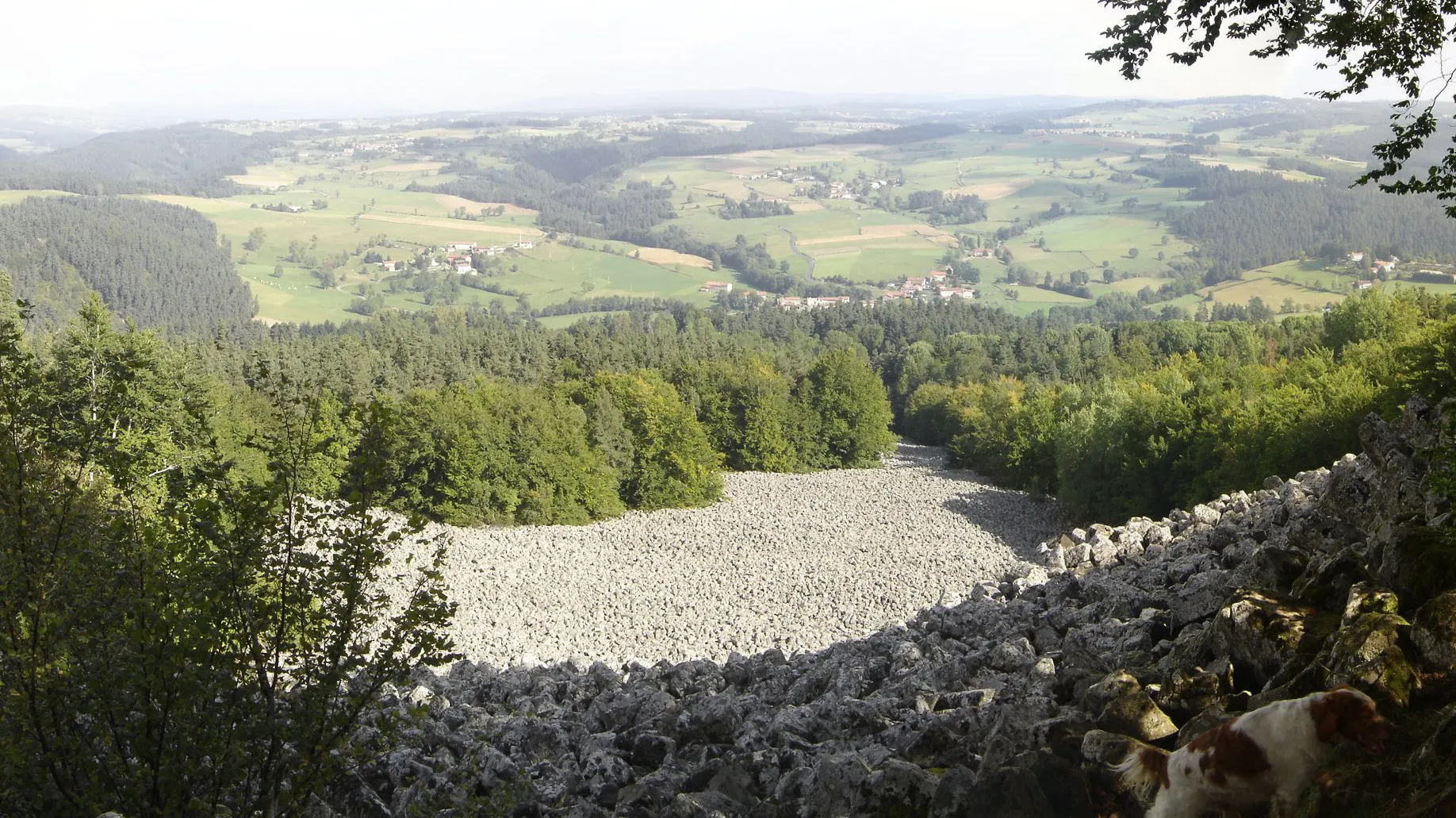 Photo showing: Vue supérieure de la coulée de lave de la Bourianne, située sur la commune de Saint-Julien-d'Ance (FR-43)