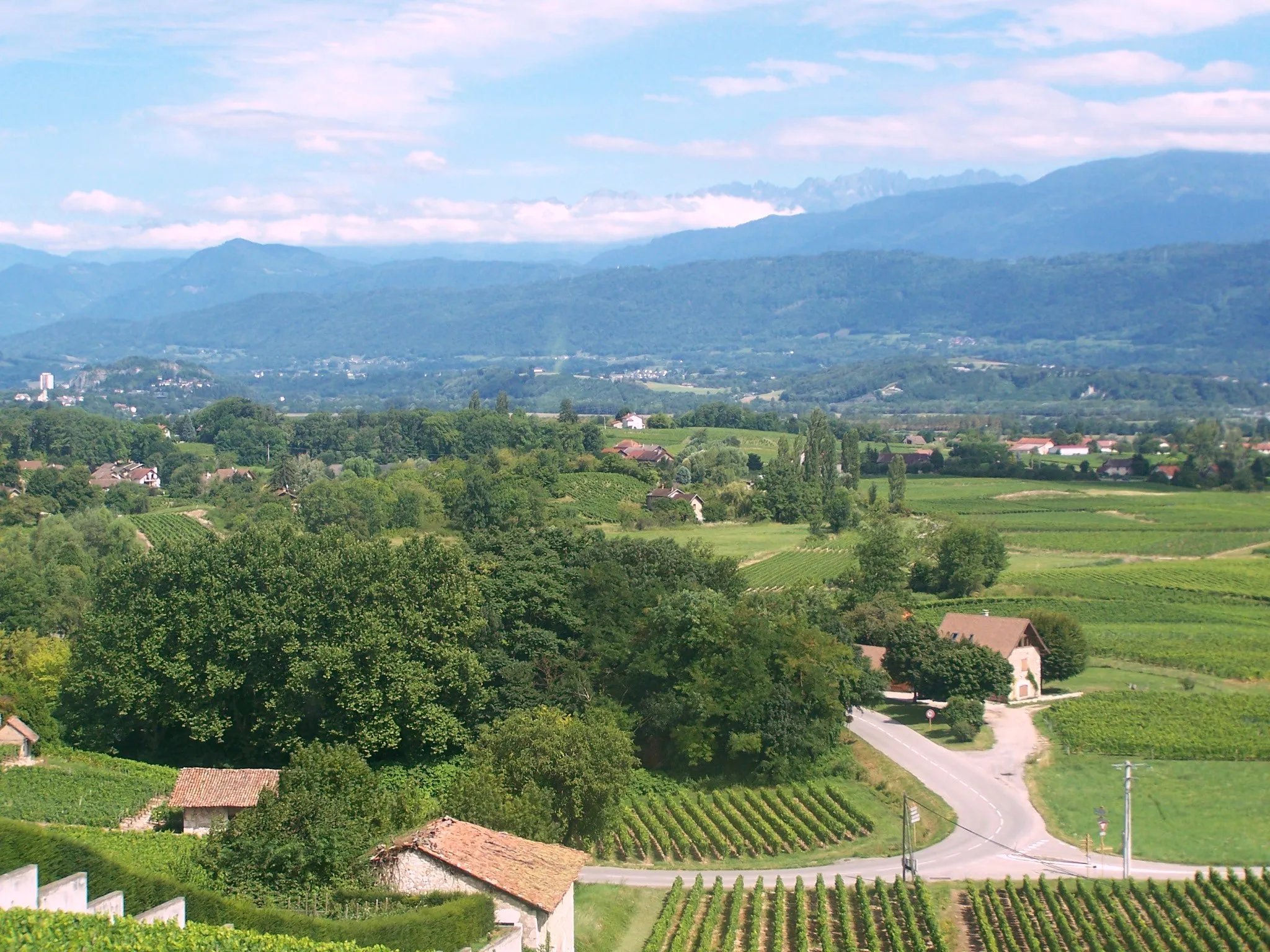 Photo showing: Sight on Savoyan vineyards situated on the commune of Les Marches (St-André), in France.